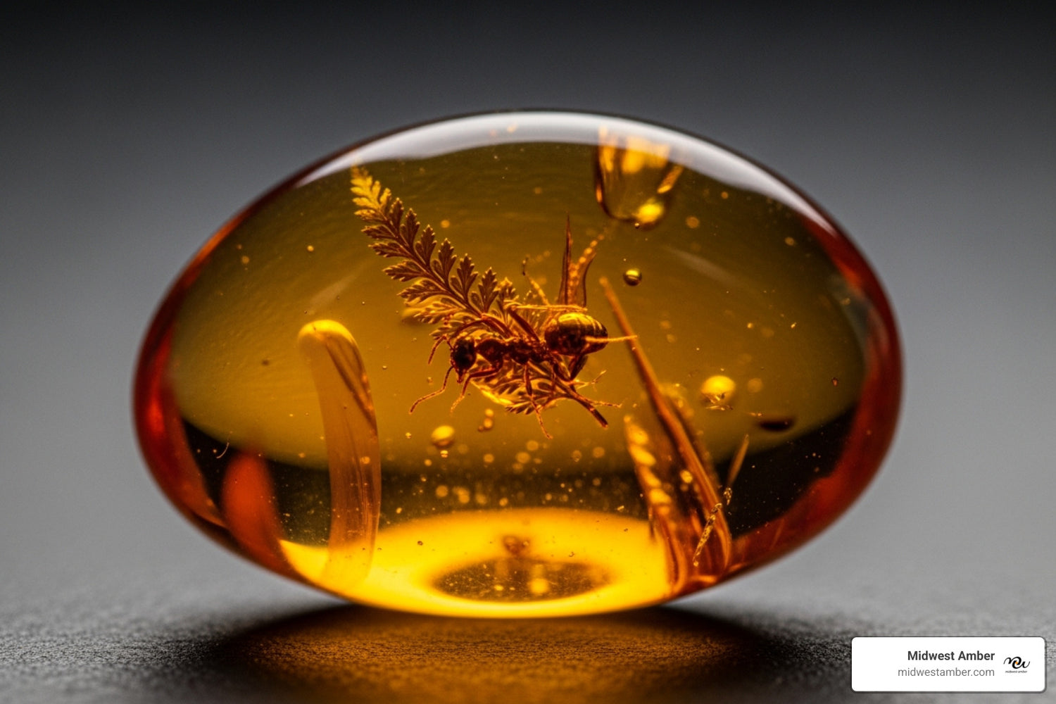 Unearthing Natural Amber: What Makes This Ancient Gem So Special?