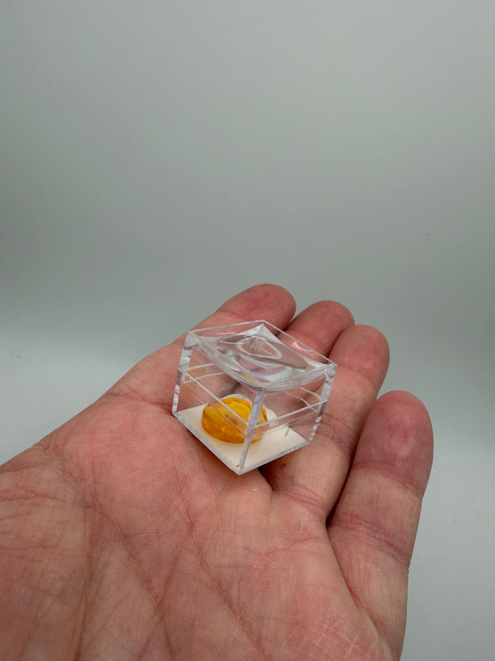 Amber Fossil Insect Inclusion | Baltic Amber Specimen | Collector Display Box with Magnifier | Rare Gift | Museum Quality