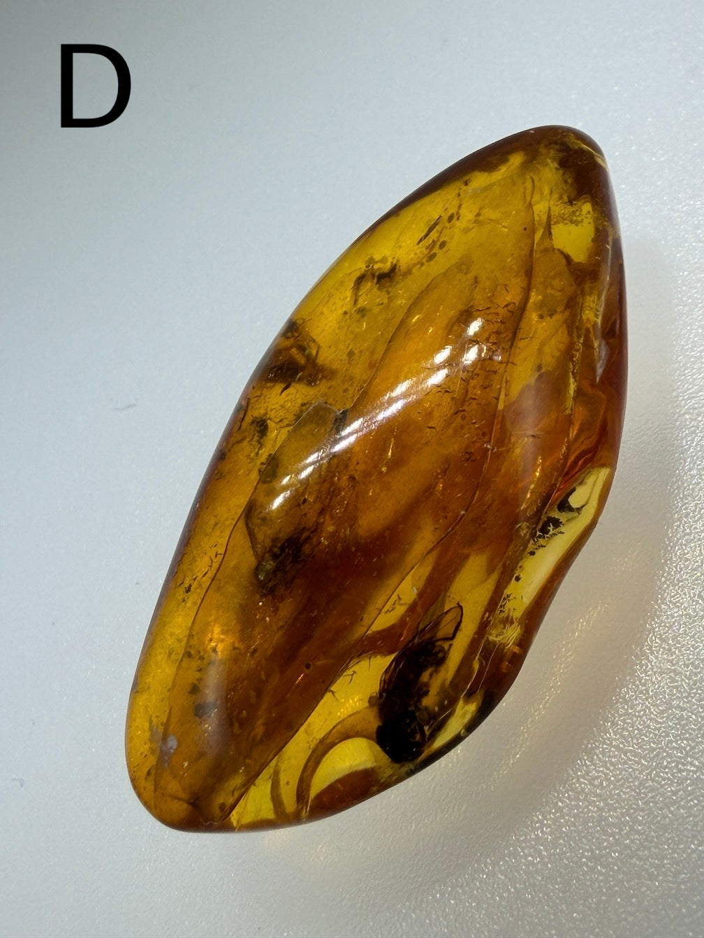 Baltic Amber Fossil Collection with Insects – Rare Mosquito & Fly Inclusions – Natural Amber Stones – One of a Kind Specimens