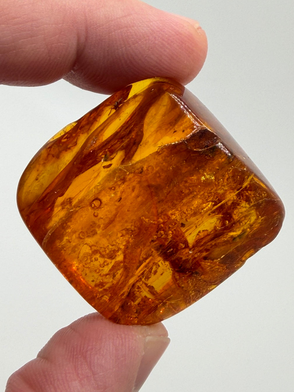Baltic Amber Fossil Collection with Insects – Rare Mosquito & Fly Inclusions – Natural Amber Stones – One of a Kind Specimens
