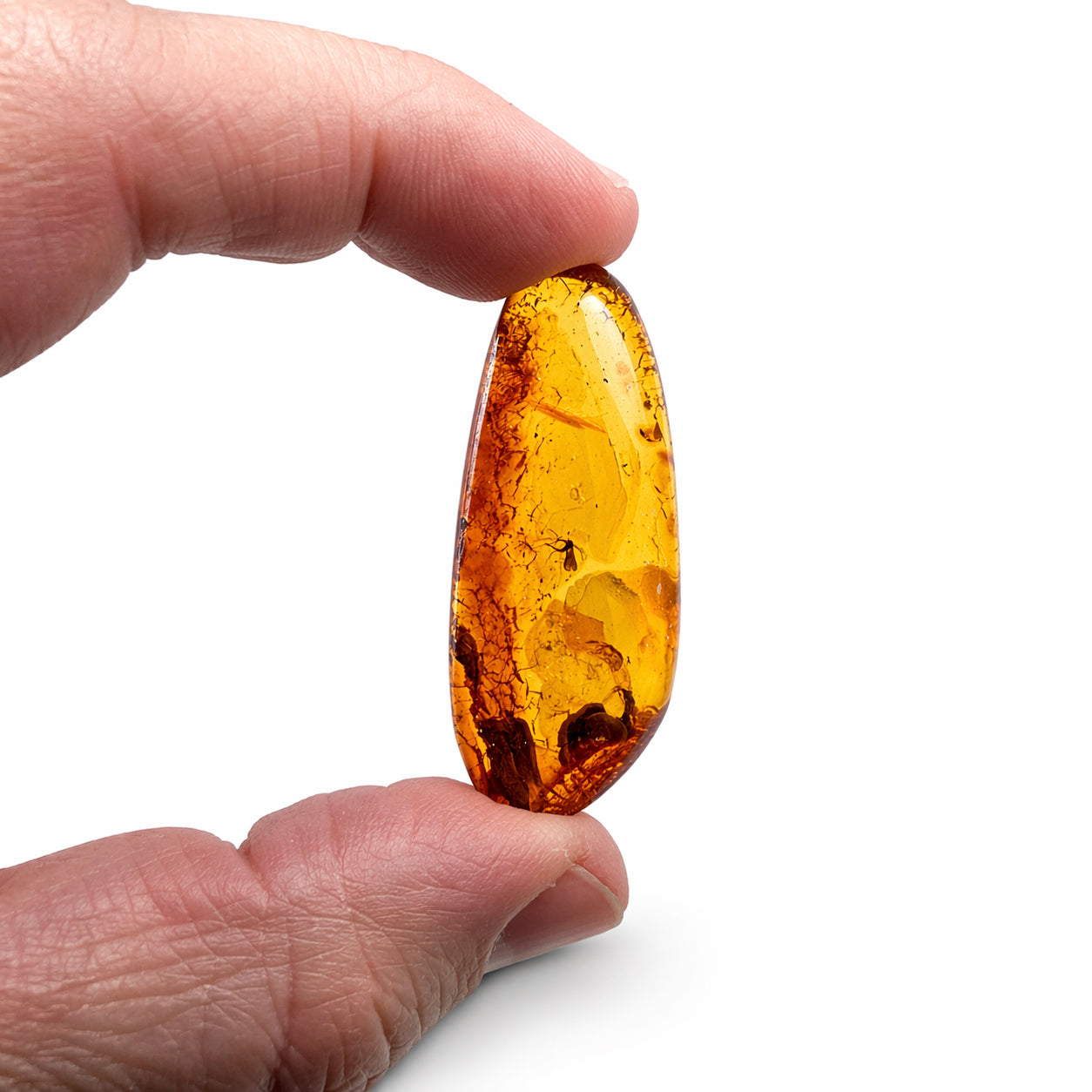 Baltic Amber Fossil Collection with Insects – Rare Mosquito & Fly Inclusions – Natural Amber Stones – One of a Kind Specimens