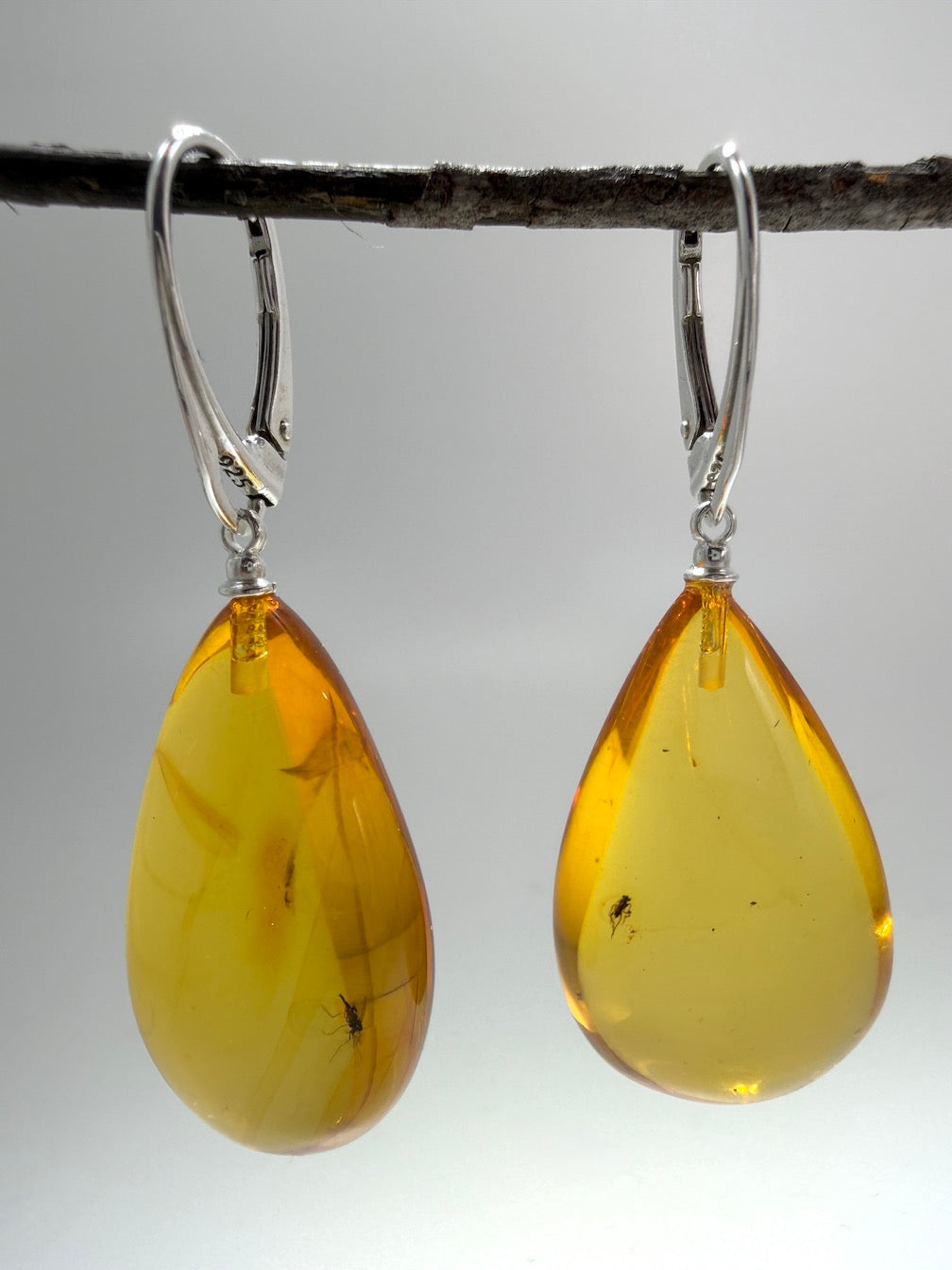Baltic Amber Fossil Inclusion Earrings – Sterling Silver Lever Back – Rare Teardrop Amber – Museum Quality Collector Jewelry – Genuine Baltic Amber