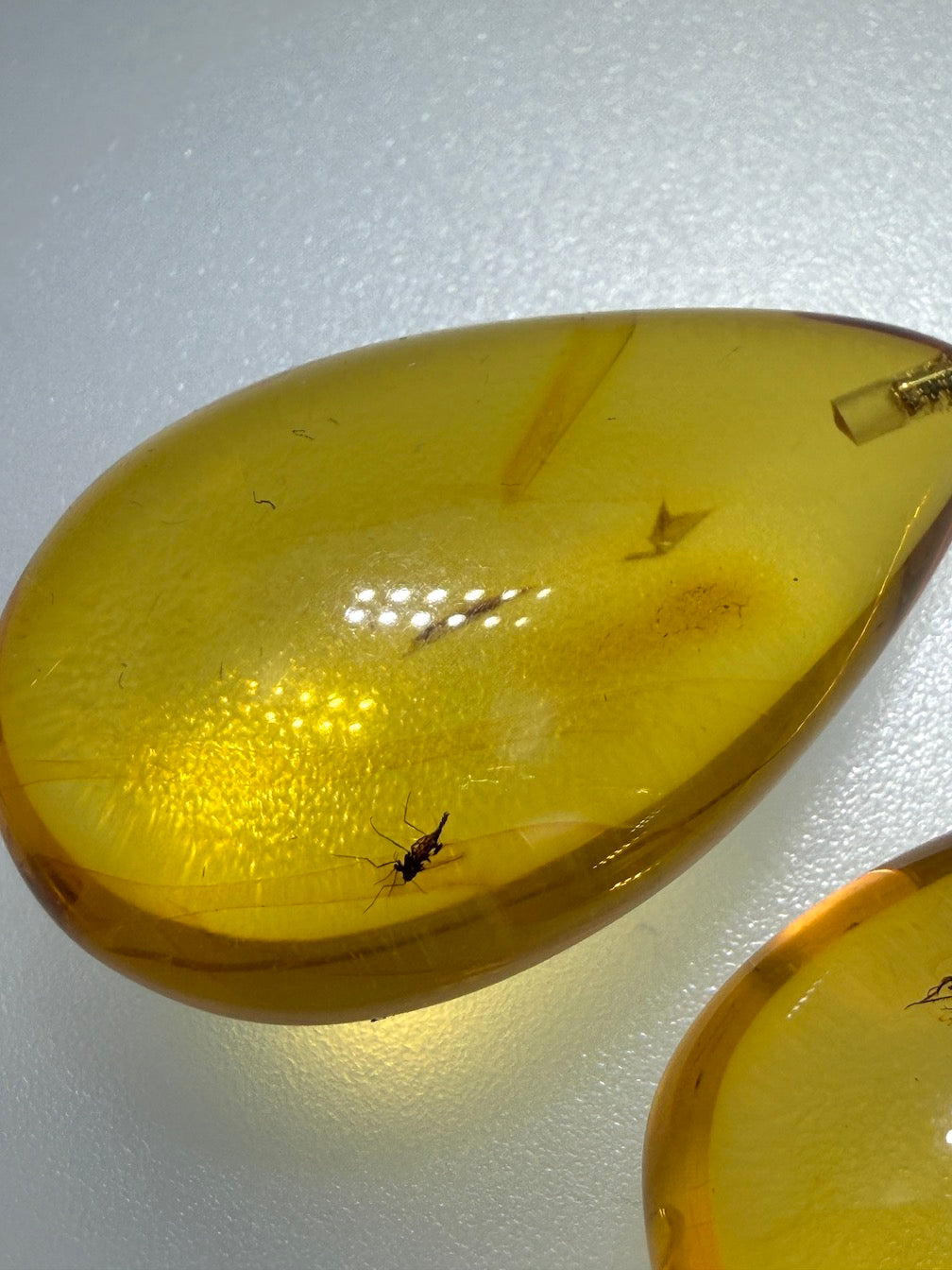 Baltic Amber Fossil Inclusion Earrings – Sterling Silver Lever Back – Rare Teardrop Amber – Museum Quality Collector Jewelry – Genuine Baltic Amber