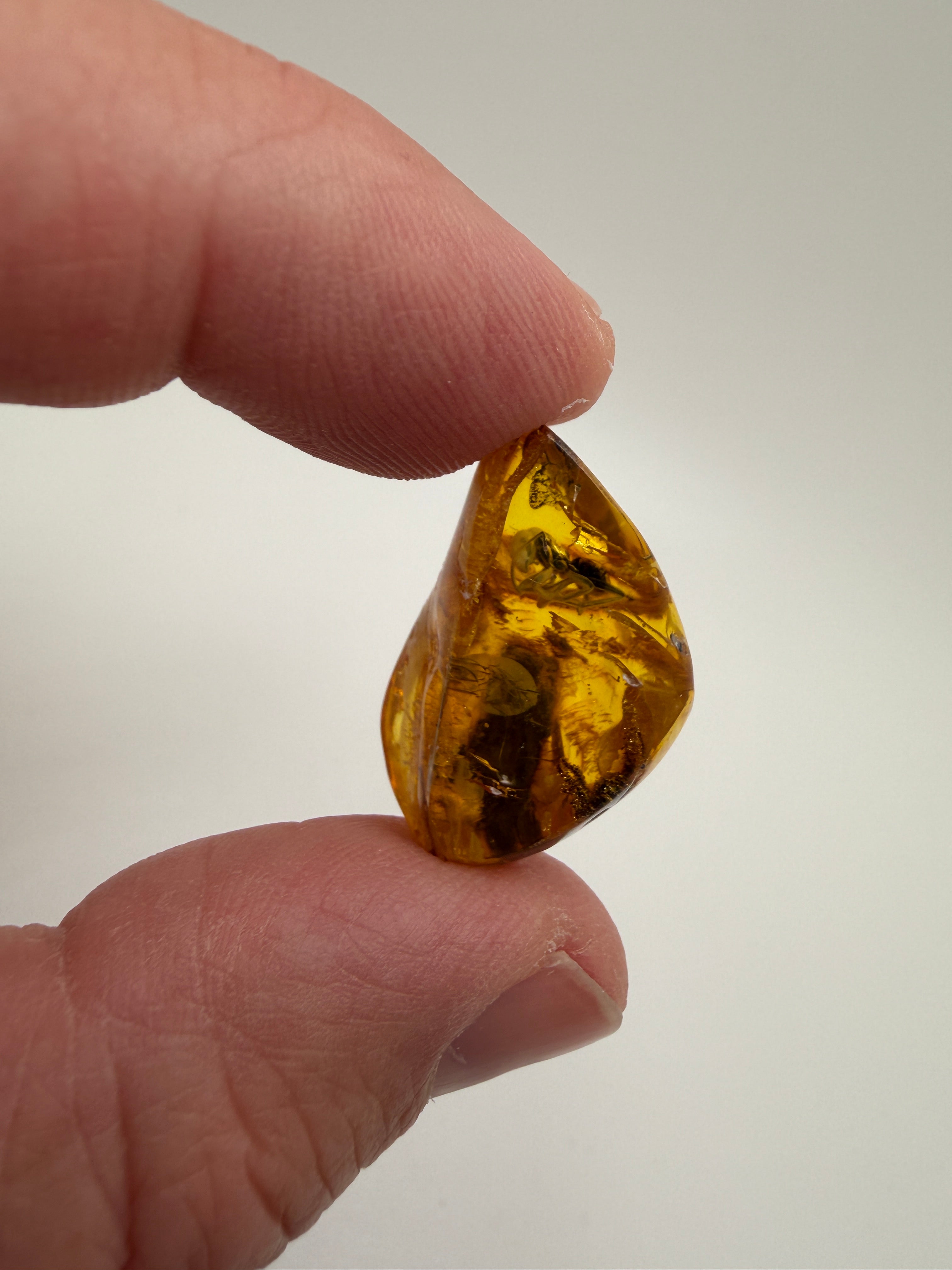 Extremely Rare Genuine Baltic Amber Hymenoptera Ant Inclusion – Museum Quality Fossil Specimen