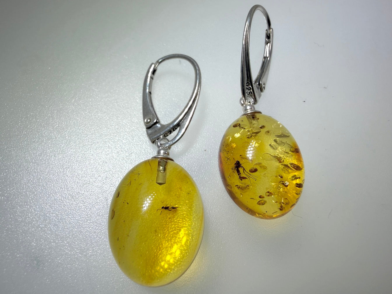 Extremely Rare Genuine Baltic Amber Lemon Insect Inclusion Earrings – Bubbles / Insects - Collector’s Grade Lever Back Design