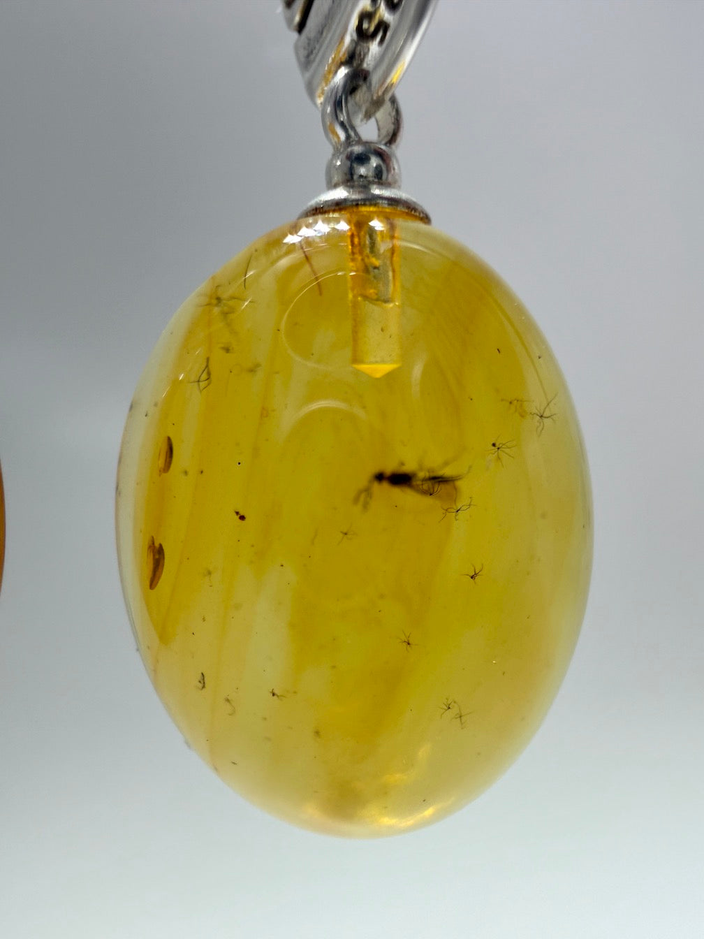 Extremely Rare Genuine Baltic Amber Lemon Insect Inclusion Earrings – Bubbles / Insects - Collector’s Grade Lever Back Design