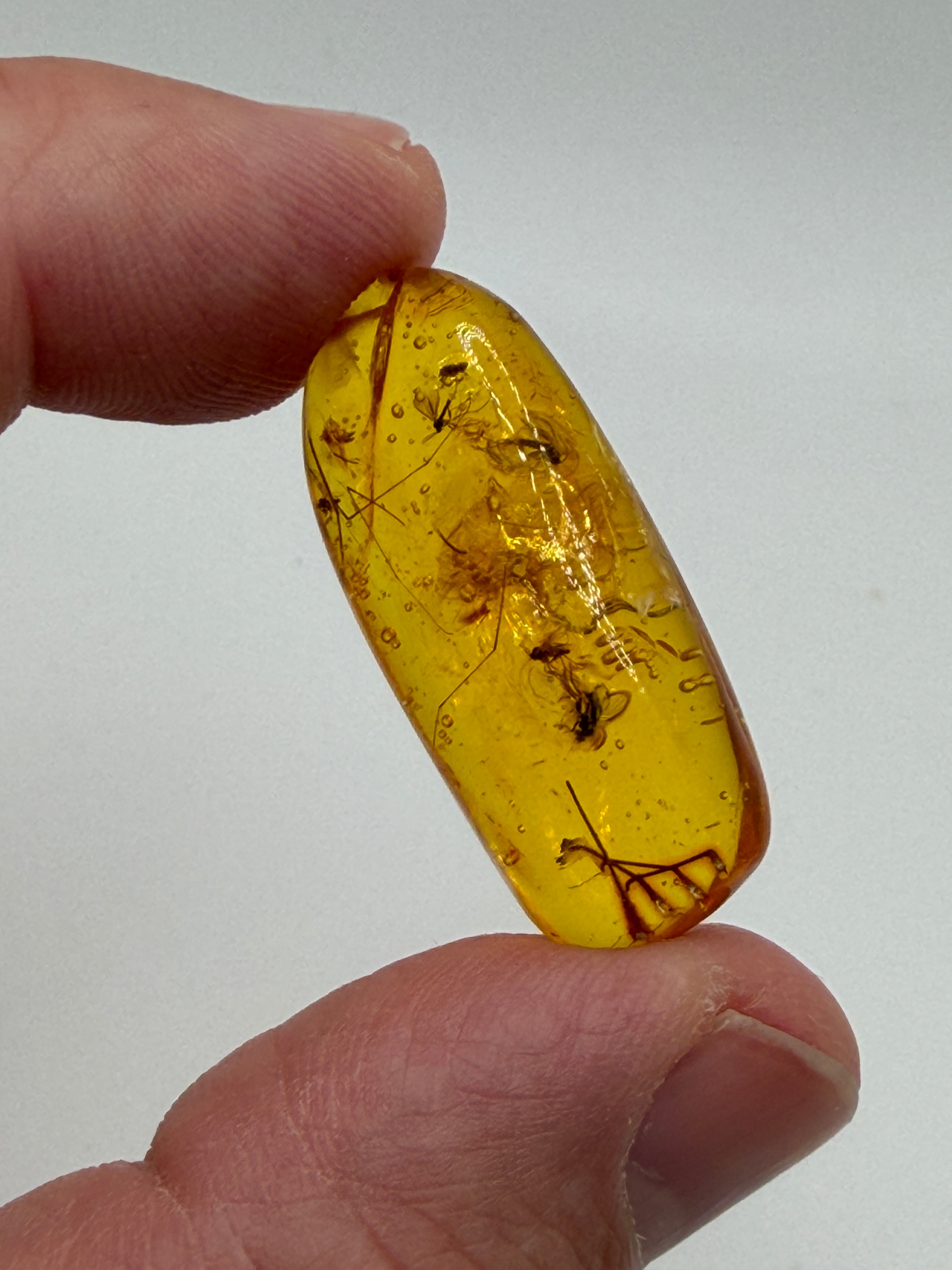 Extremely Rare Genuine Baltic Amber Multiple Fly Inclusion – Museum Quality Fossil Specimen with Natural Air Bubbles
