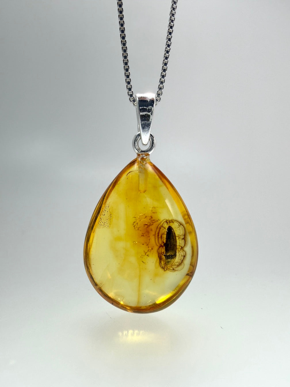 Fossil Inclusion Genuine Baltic Amber & Sterling Silver Lemon Amber Teardrop Pendant