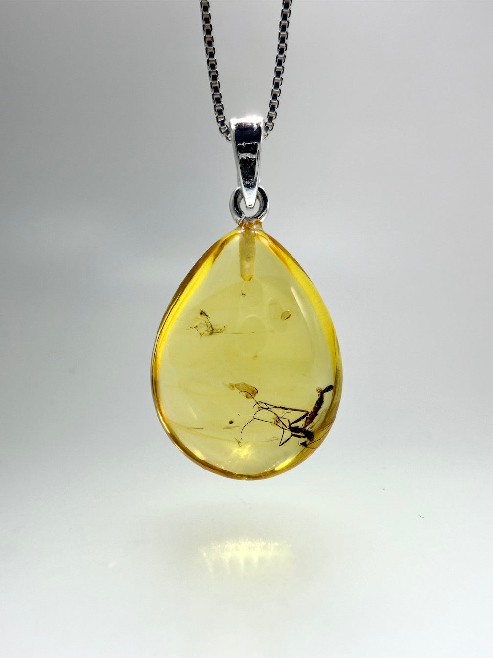 Fossil Inclusion Genuine Baltic Amber & Sterling Silver Lemon Amber Teardrop Pendant