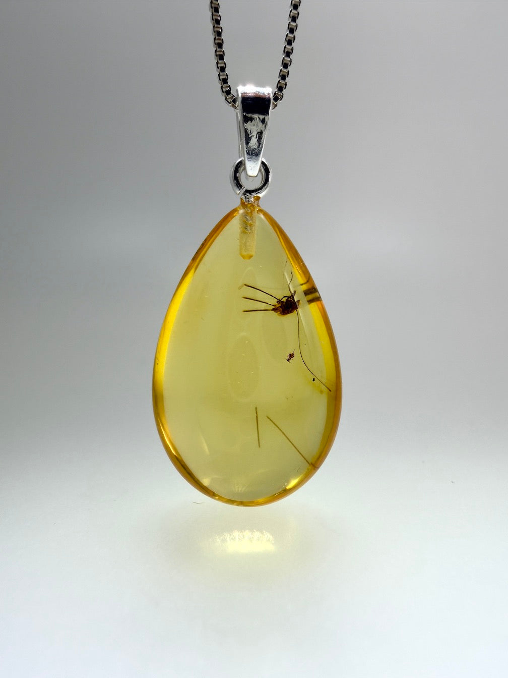 Fossil Inclusion Genuine Baltic Amber & Sterling Silver Lemon Amber Teardrop Pendant