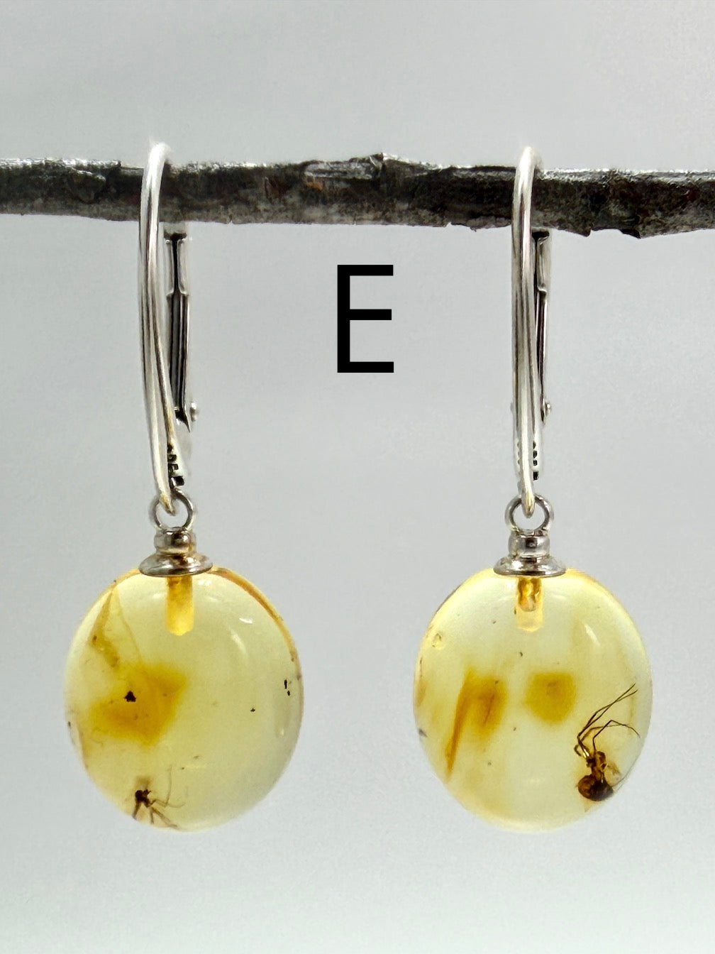 Genuine Baltic Amber Bug Inclusion Earrings • Sterling Silver Lever Back