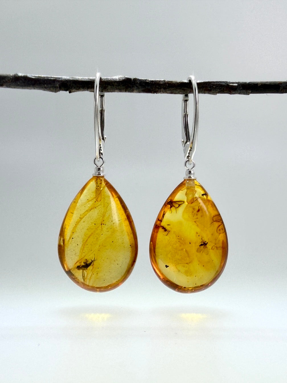 Genuine Baltic Amber Bug Inclusion Earrings • Sterling Silver Lever Back