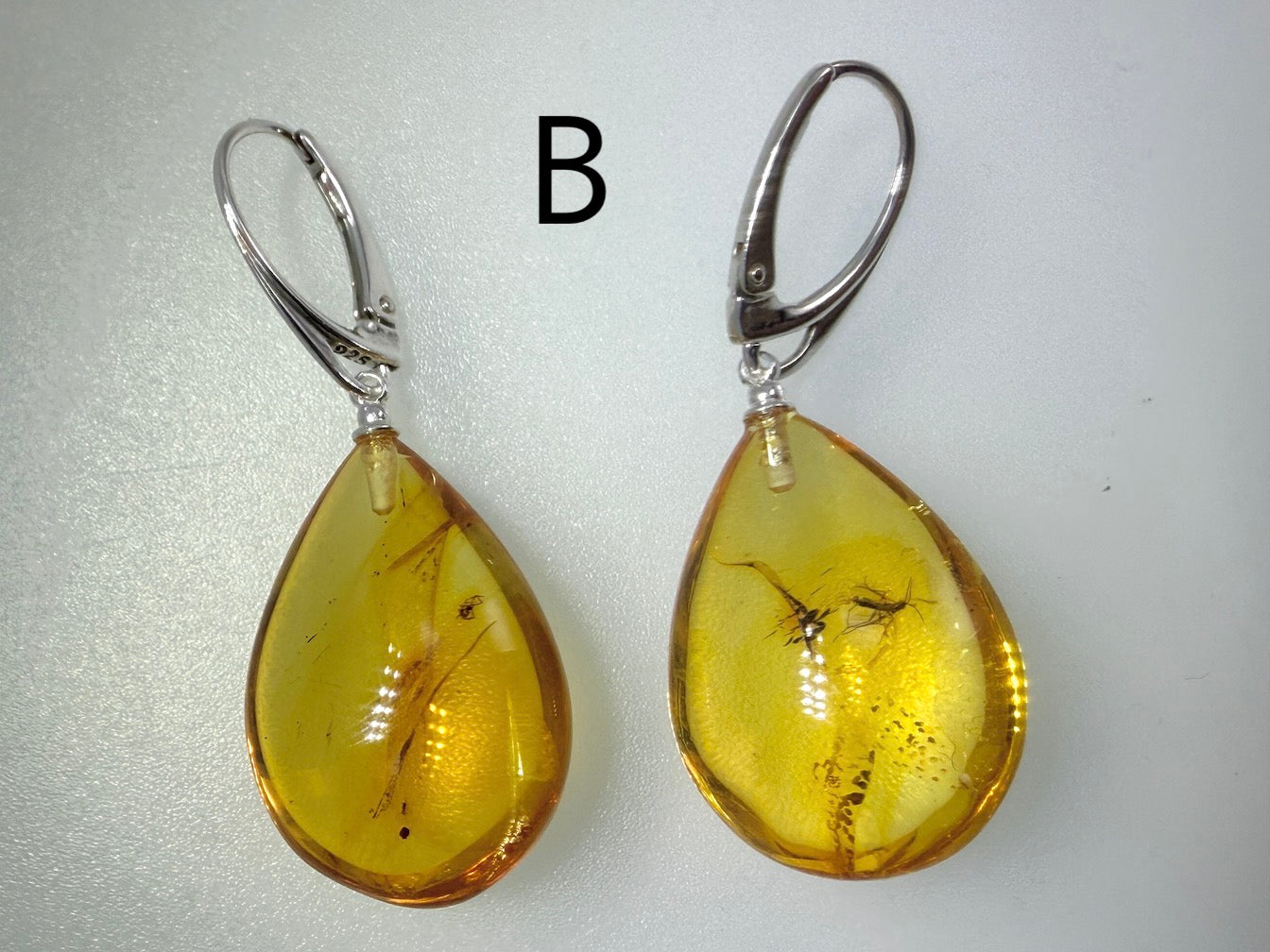 Genuine Baltic Amber Bug Inclusion Earrings • Sterling Silver Lever Back