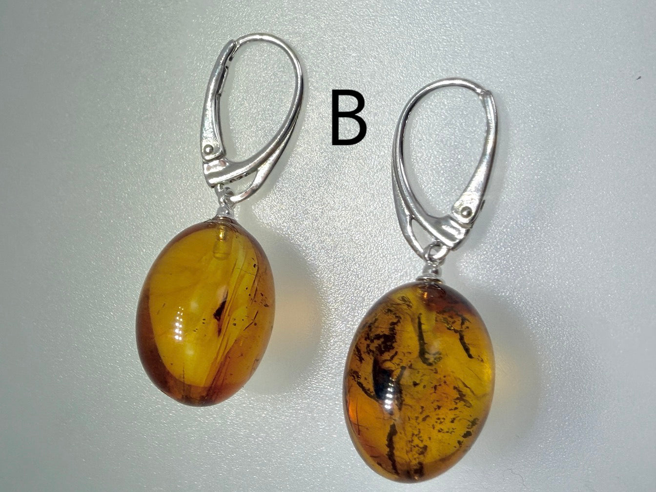 Genuine Baltic Amber Bug Inclusion Earrings • Sterling Silver Lever Back