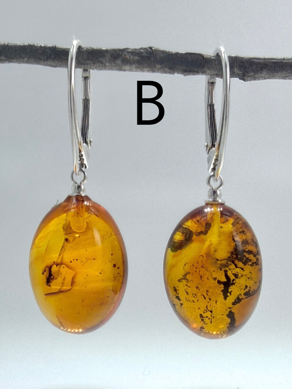 Genuine Baltic Amber Bug Inclusion Earrings • Sterling Silver Lever Back