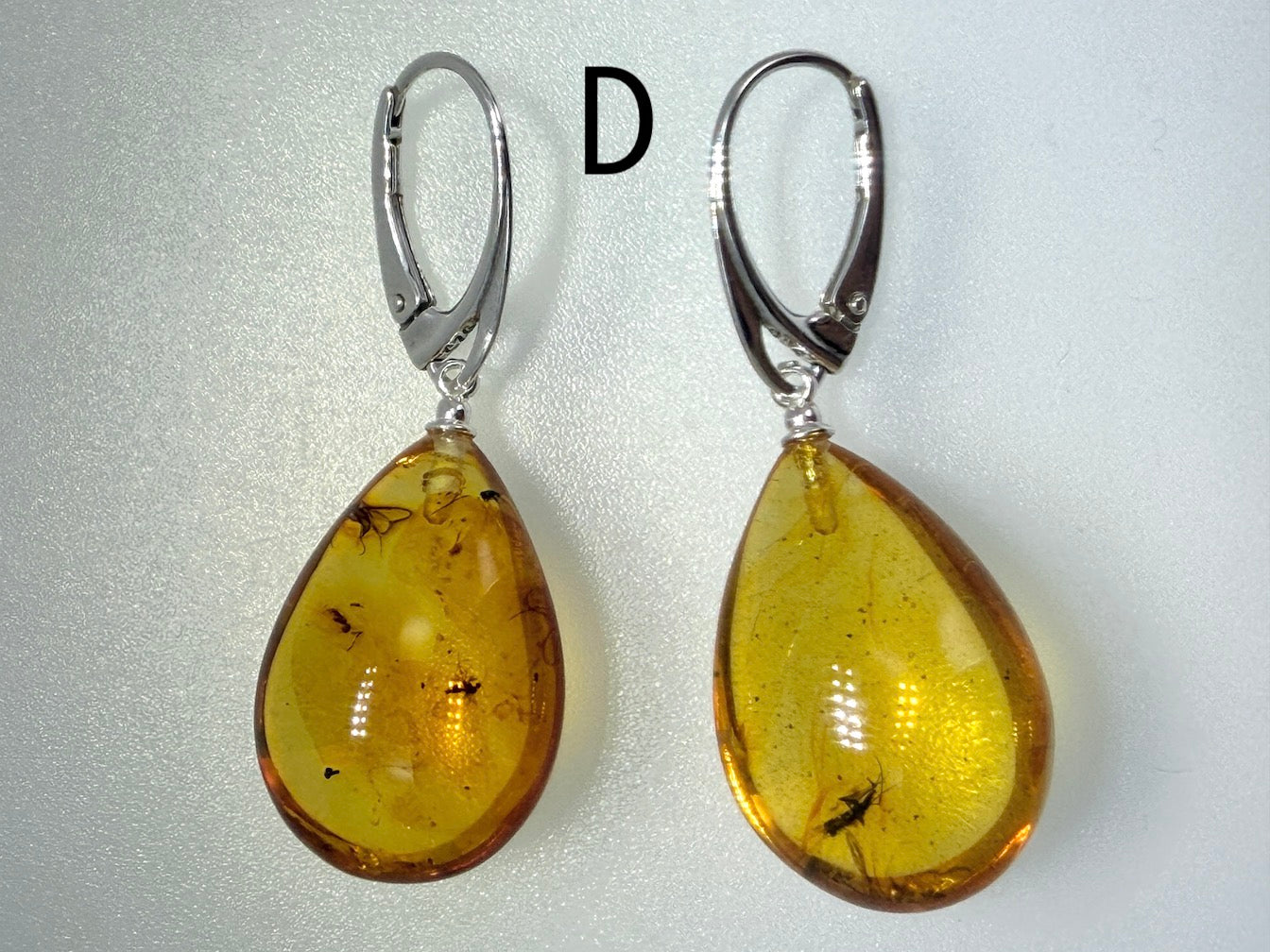 Genuine Baltic Amber Bug Inclusion Earrings • Sterling Silver Lever Back