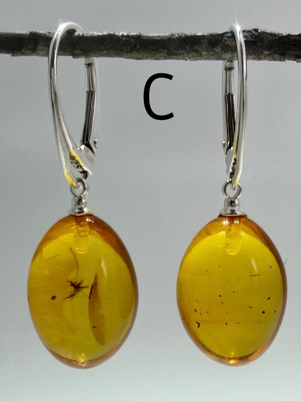 Genuine Baltic Amber Bug Inclusion Earrings • Sterling Silver Lever Back