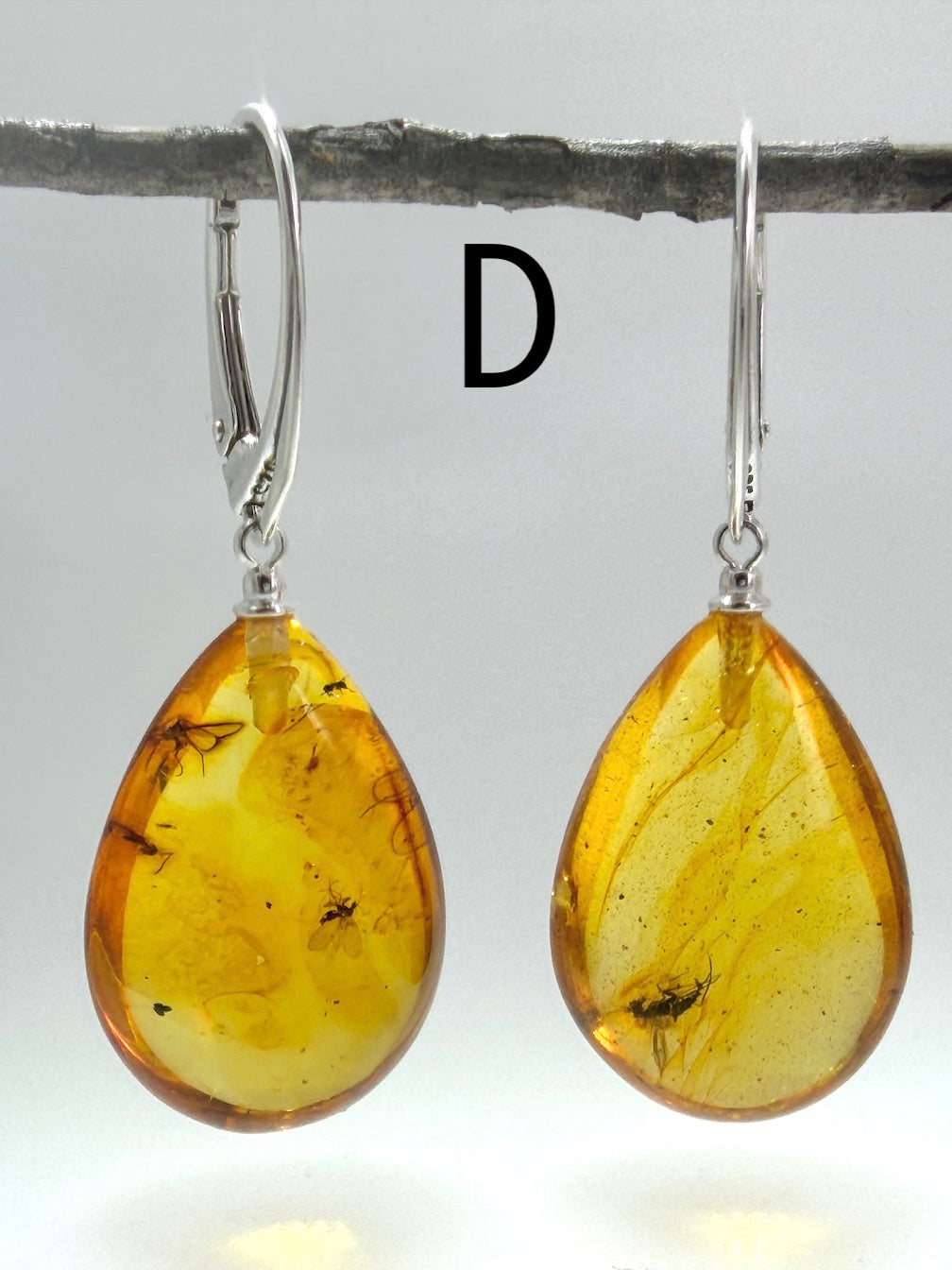 Genuine Baltic Amber Bug Inclusion Earrings • Sterling Silver Lever Back