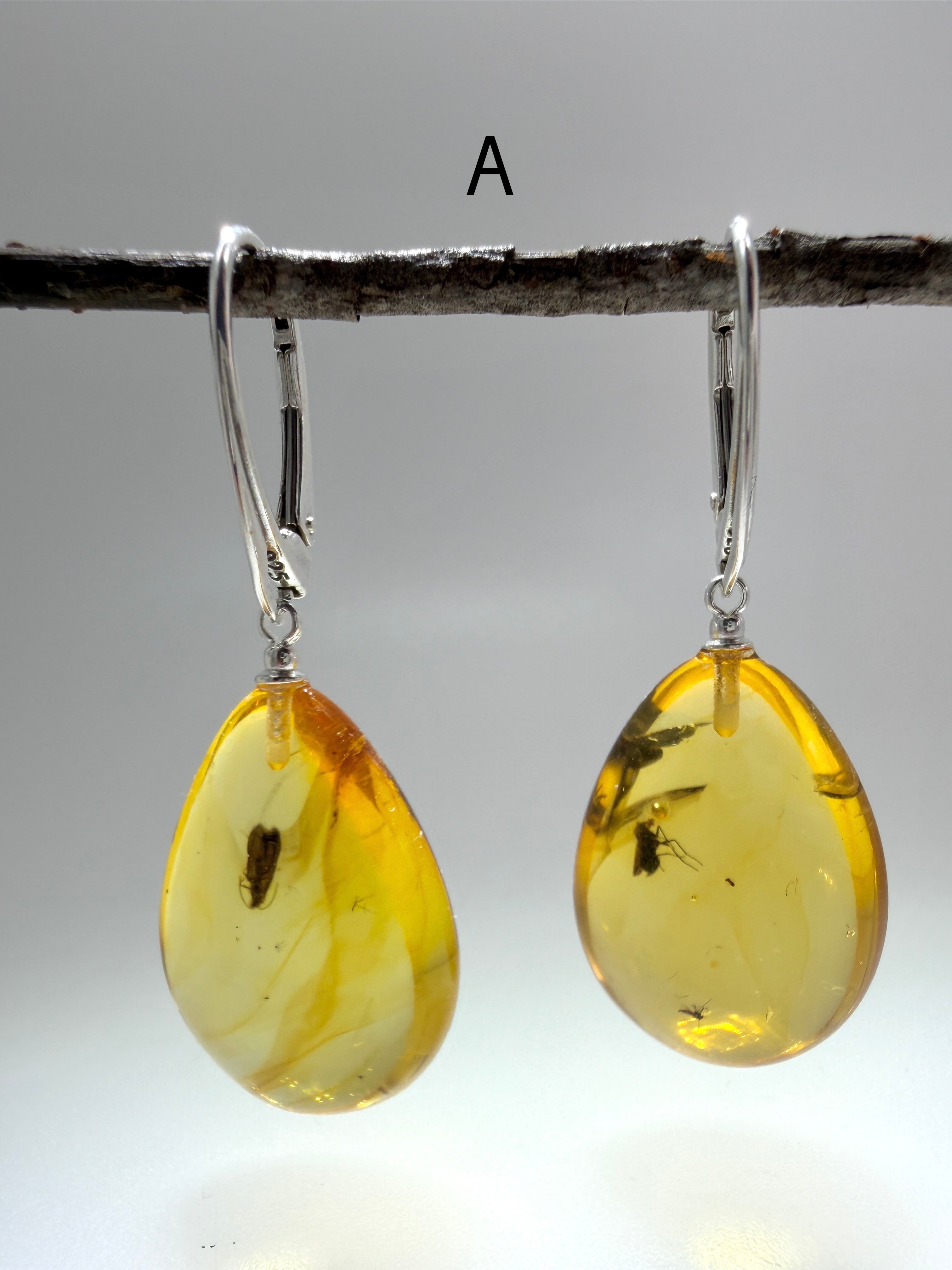 Genuine Baltic Amber Bug Inclusion Earrings • Sterling Silver Lever Back