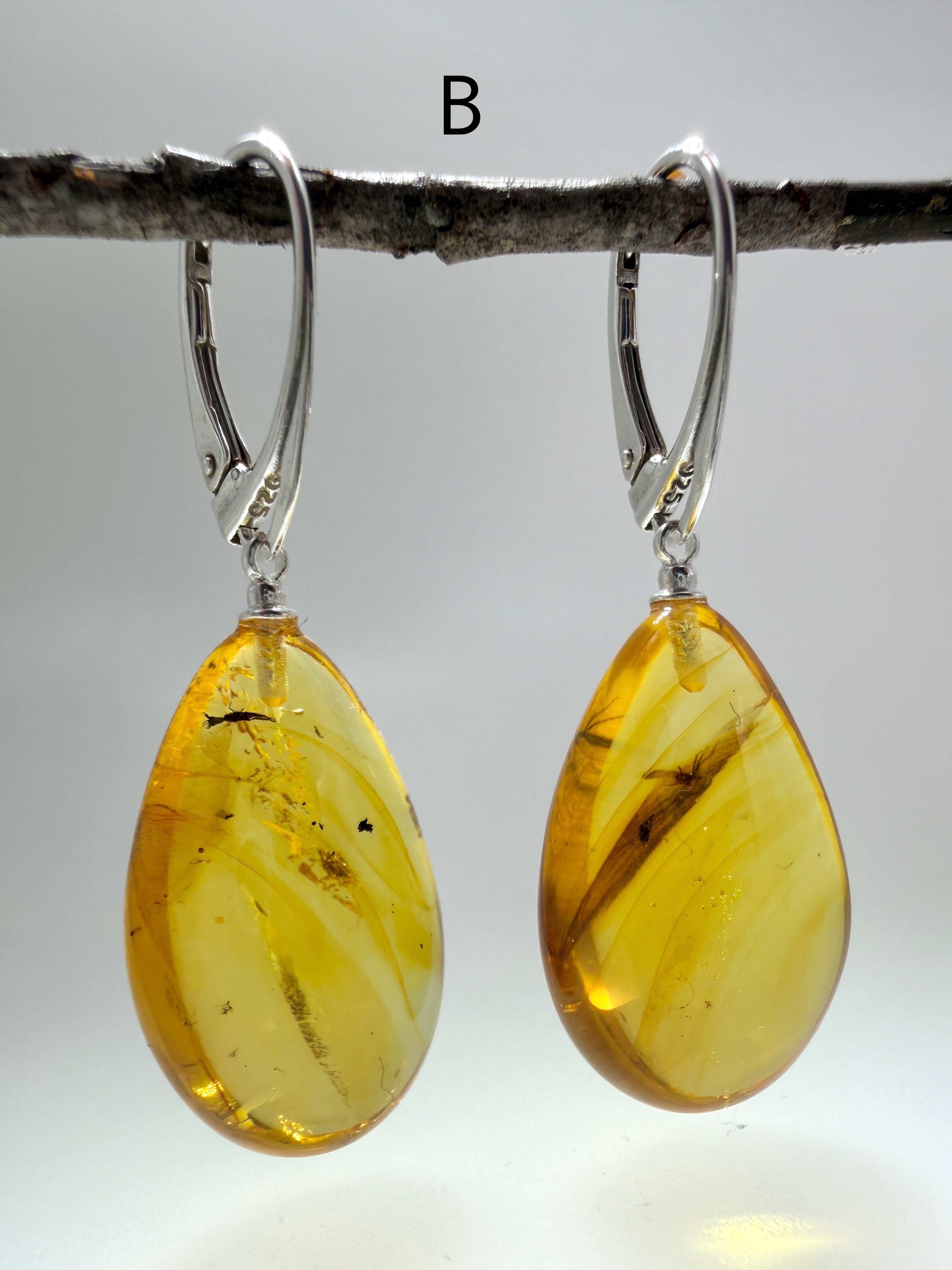 Genuine Baltic Amber Bug Inclusion Earrings • Sterling Silver Lever Back