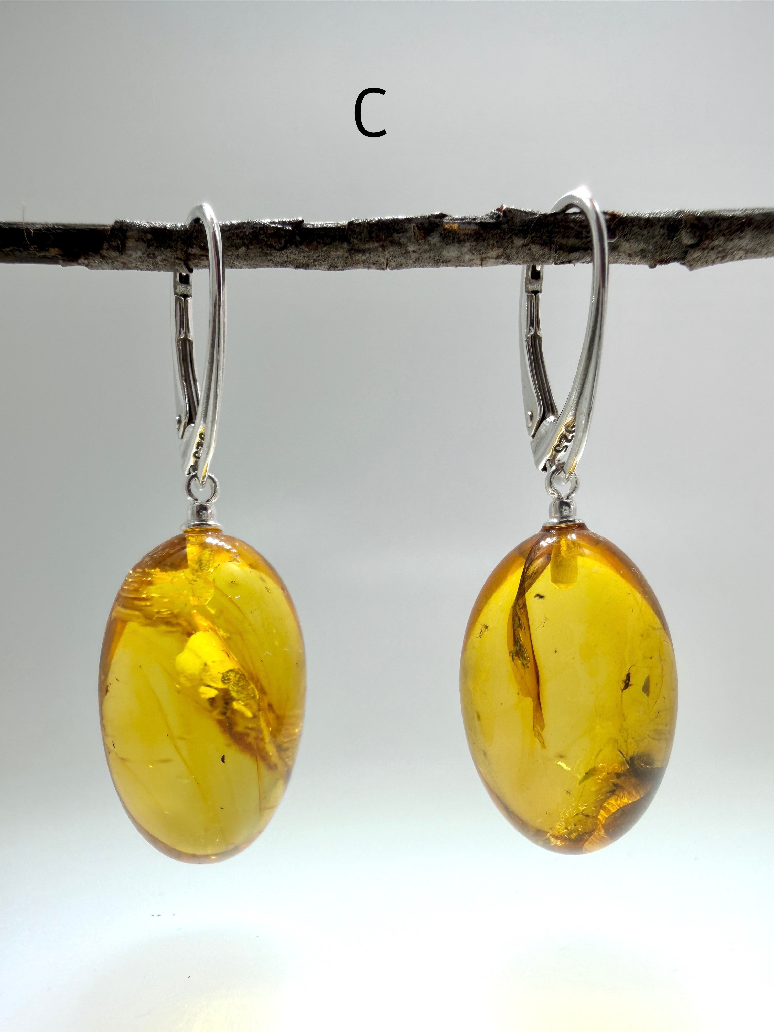 Genuine Baltic Amber Bug Inclusion Earrings • Sterling Silver Lever Back