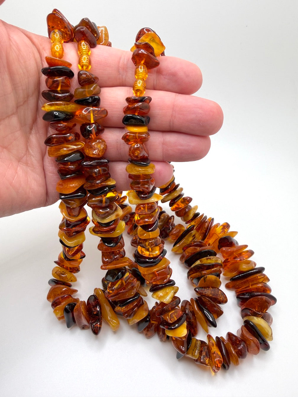 Genuine Baltic Amber Ombré Necklace | Flat Donut Shape Amber Beads | Lemon, Butterscotch, Honey & Cherry Amber