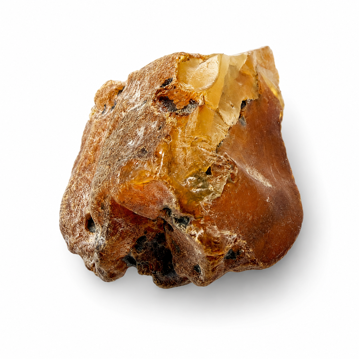 Genuine Baltic Amber Rough Stones