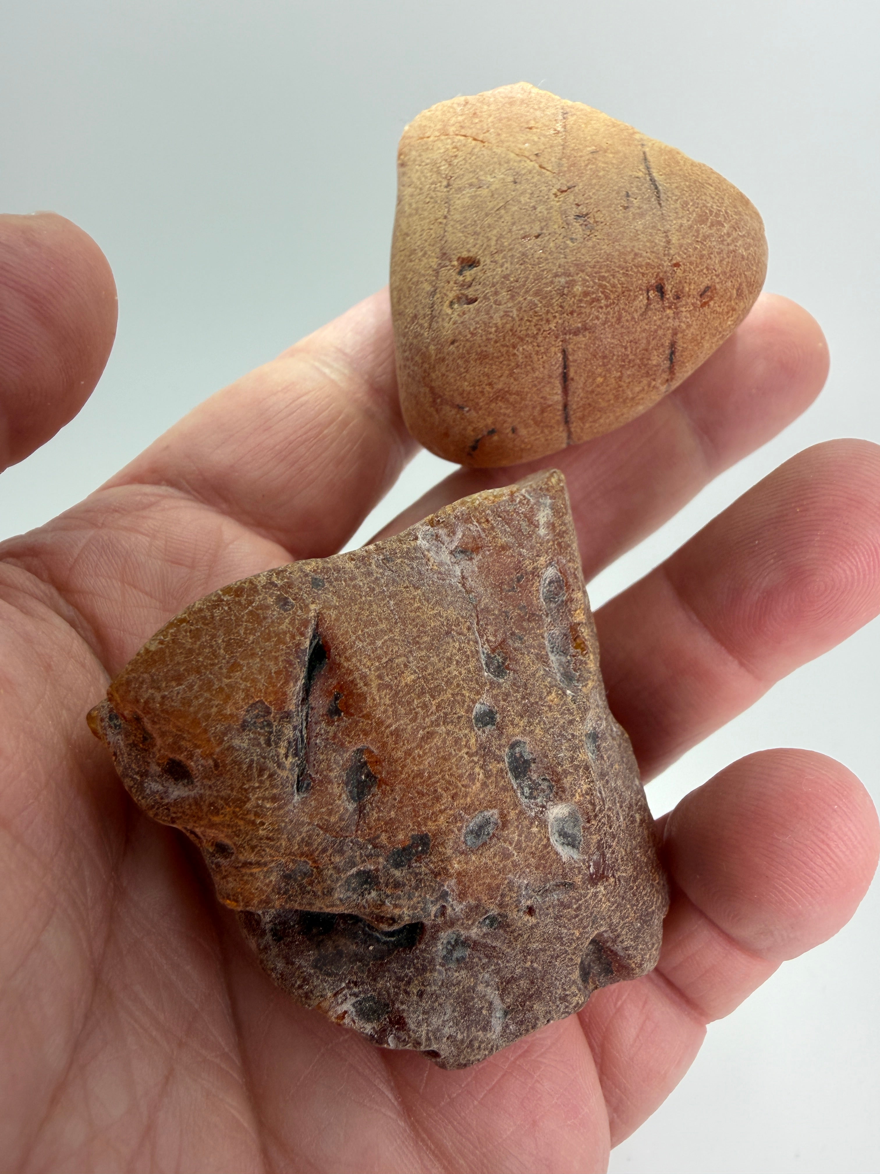 Genuine Baltic Amber Rough Stones