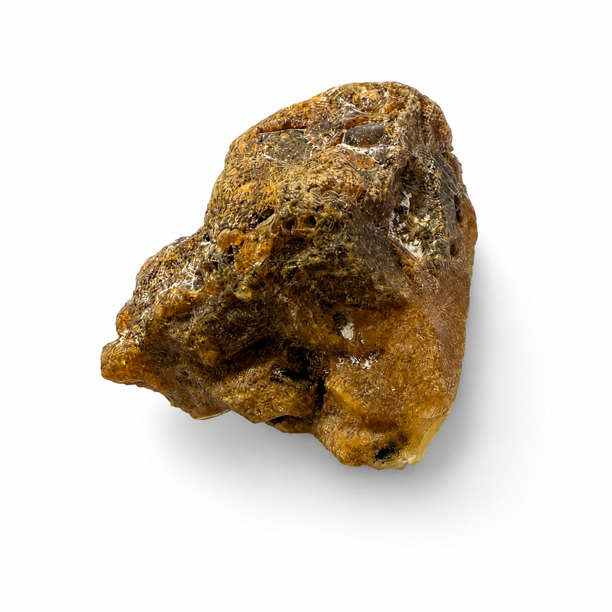 Genuine Baltic Amber Rough Stones – 8 Unique Natural Specimens – Uncut & Unpolished Baltic Amber – Collector Stones – Jewelry Making Supply – Gift for Amber Lovers