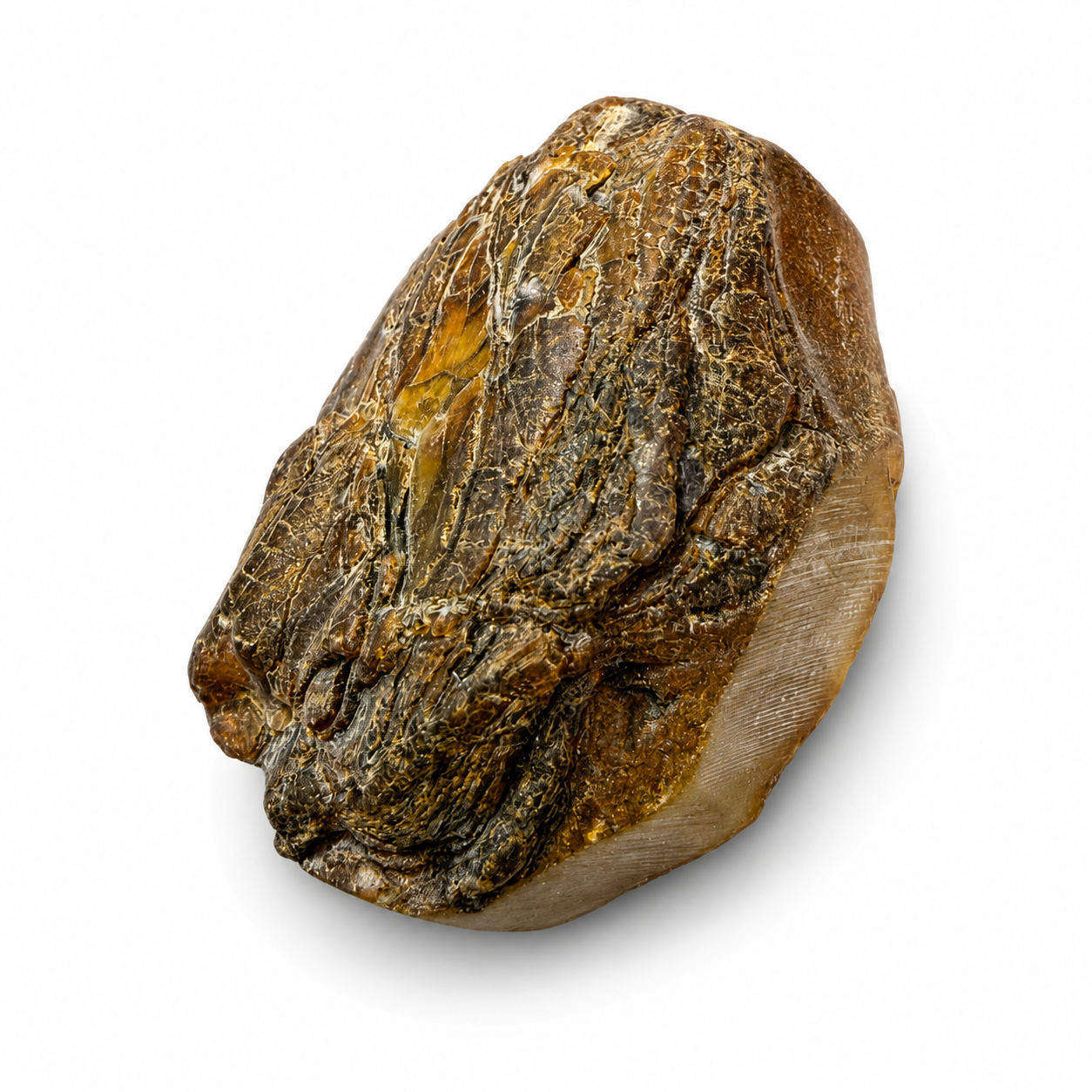 Genuine Baltic Amber Rough Stones