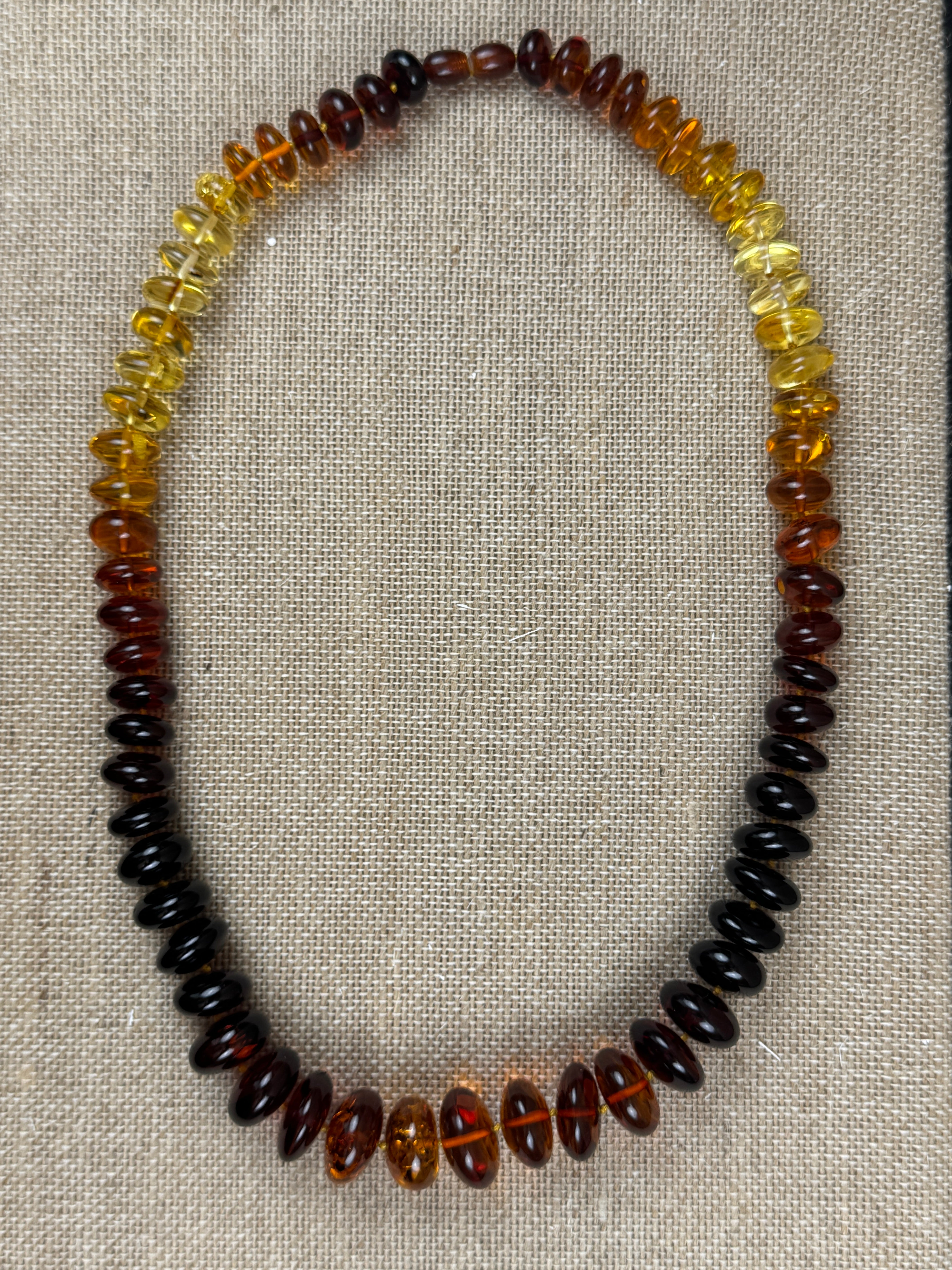 Museum Quality Rainbow Multicolor Ombré Baltic Amber Donut Bead Necklace – 22 Inch Graduated Strand