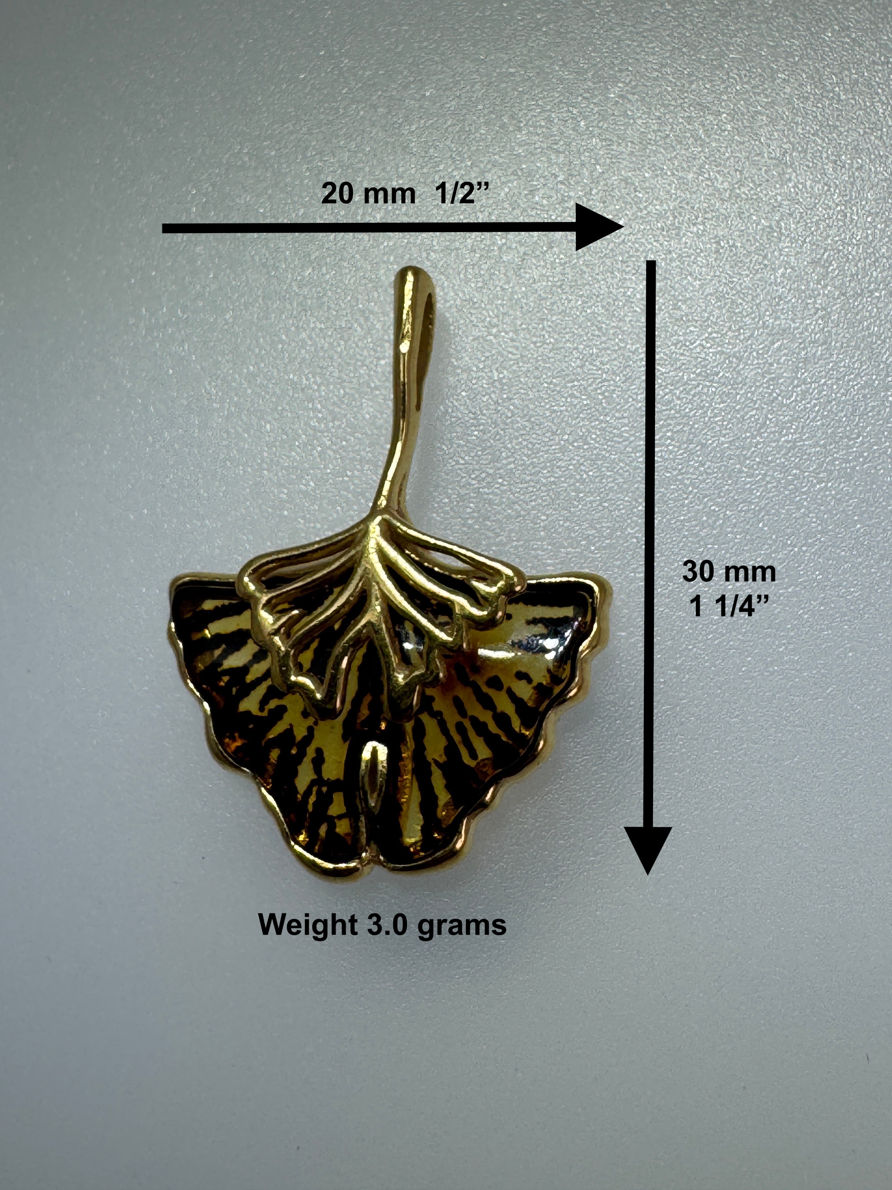 Hand etched Ginkgo Blob Baltic amber and sterling silver pendant on silver chain