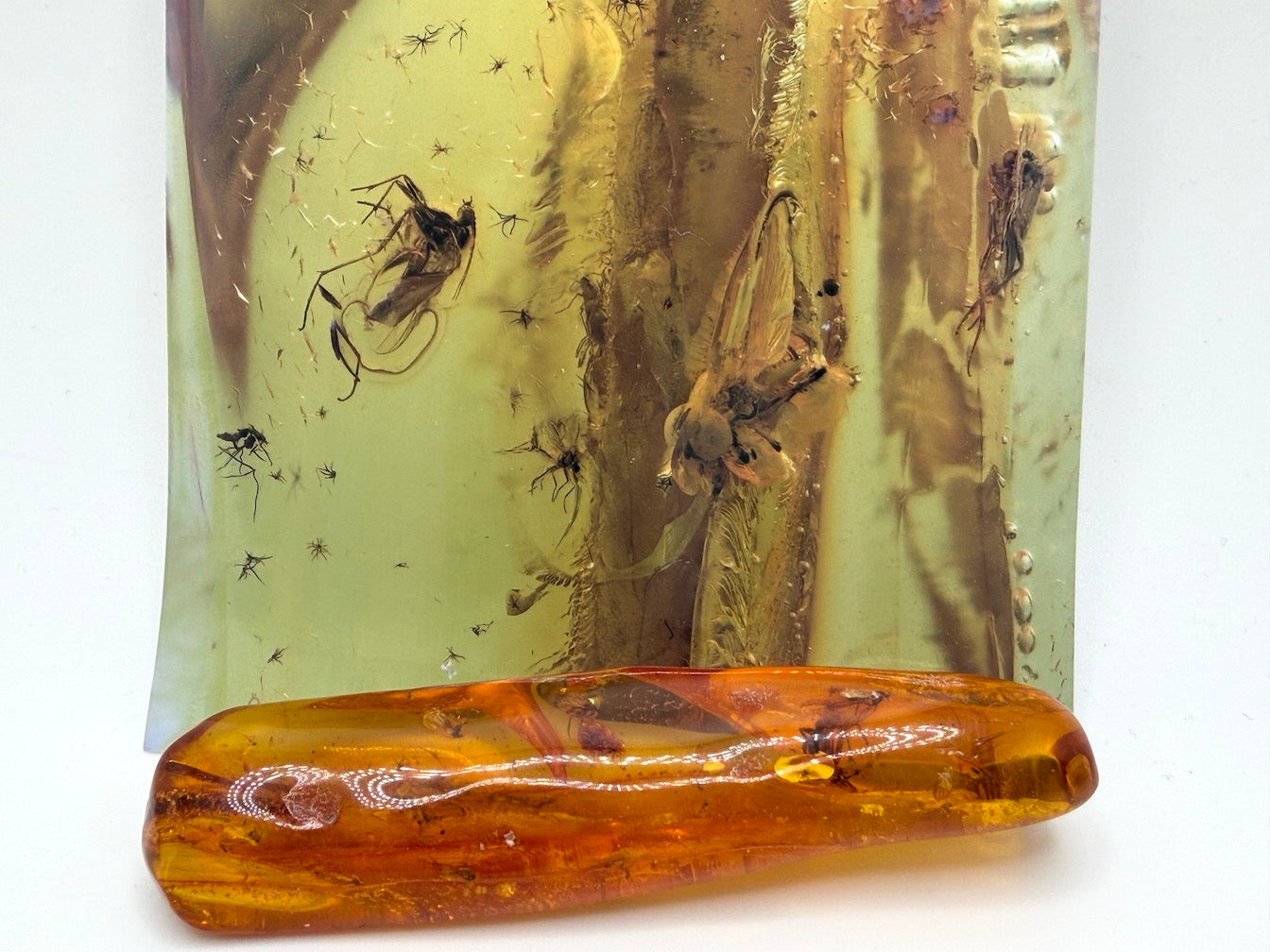 Massive Baltic Amber Inclusion Stone – Multiple Fossil Flies with Ancient Branch – Museum Grade Collector Piece