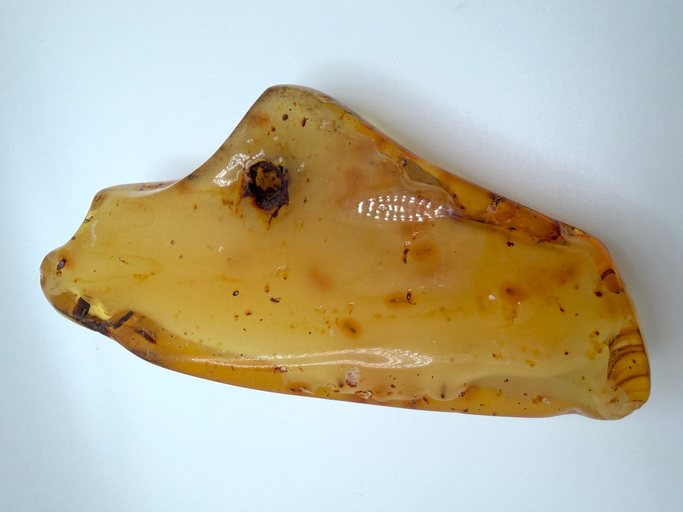 Natural Colombian Amber Chunk, Lemon Butterscotch Ombre Amber Specimen, Museum Quality - Rare Collector Stone