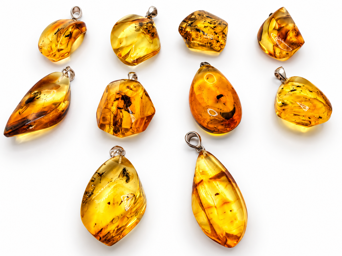 Rare Baltic Amber Insect Inclusion Pendant Necklace, Genuine Amber Fossil Jewelry,