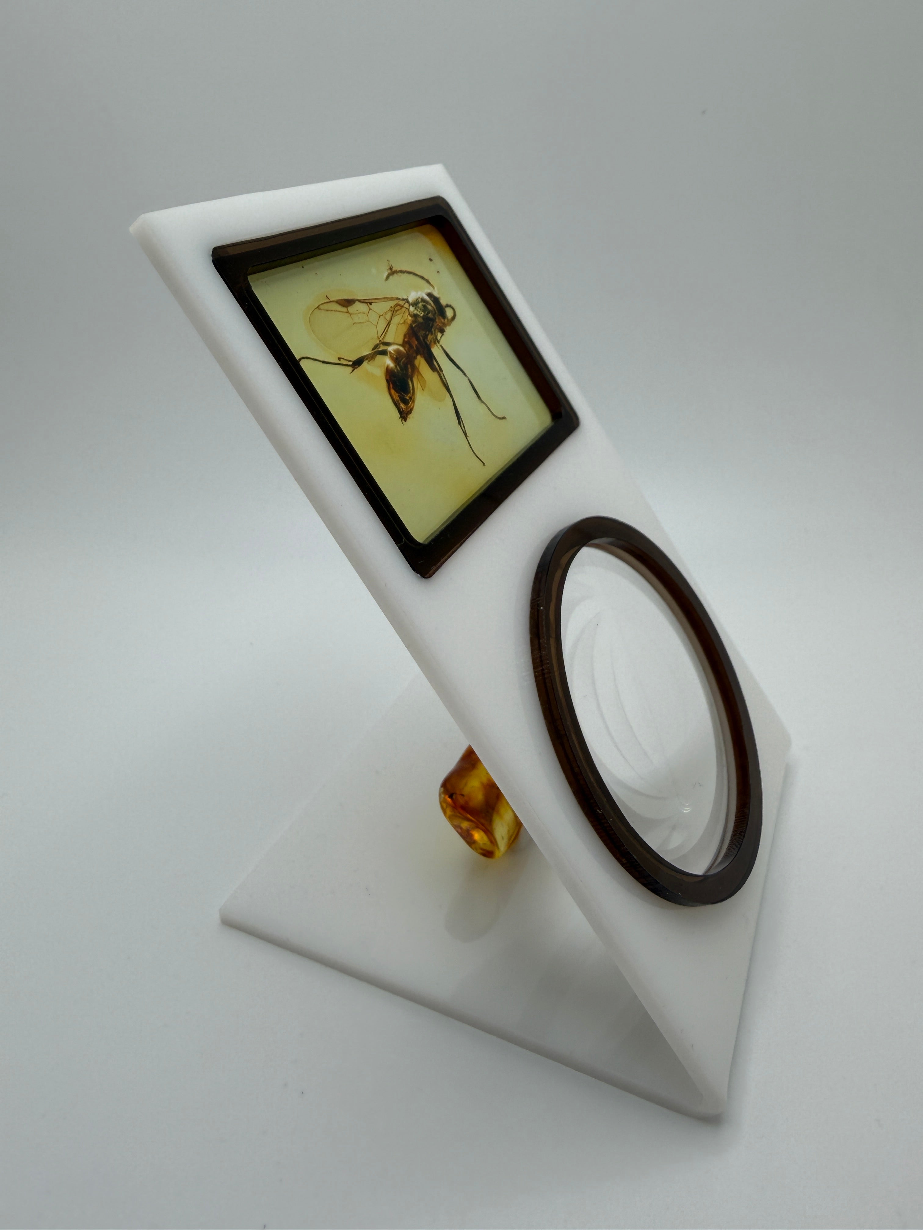 Rare Genuine Baltic Amber Wasp Inclusion – Museum Quality Natural Insect Fossil Specimen