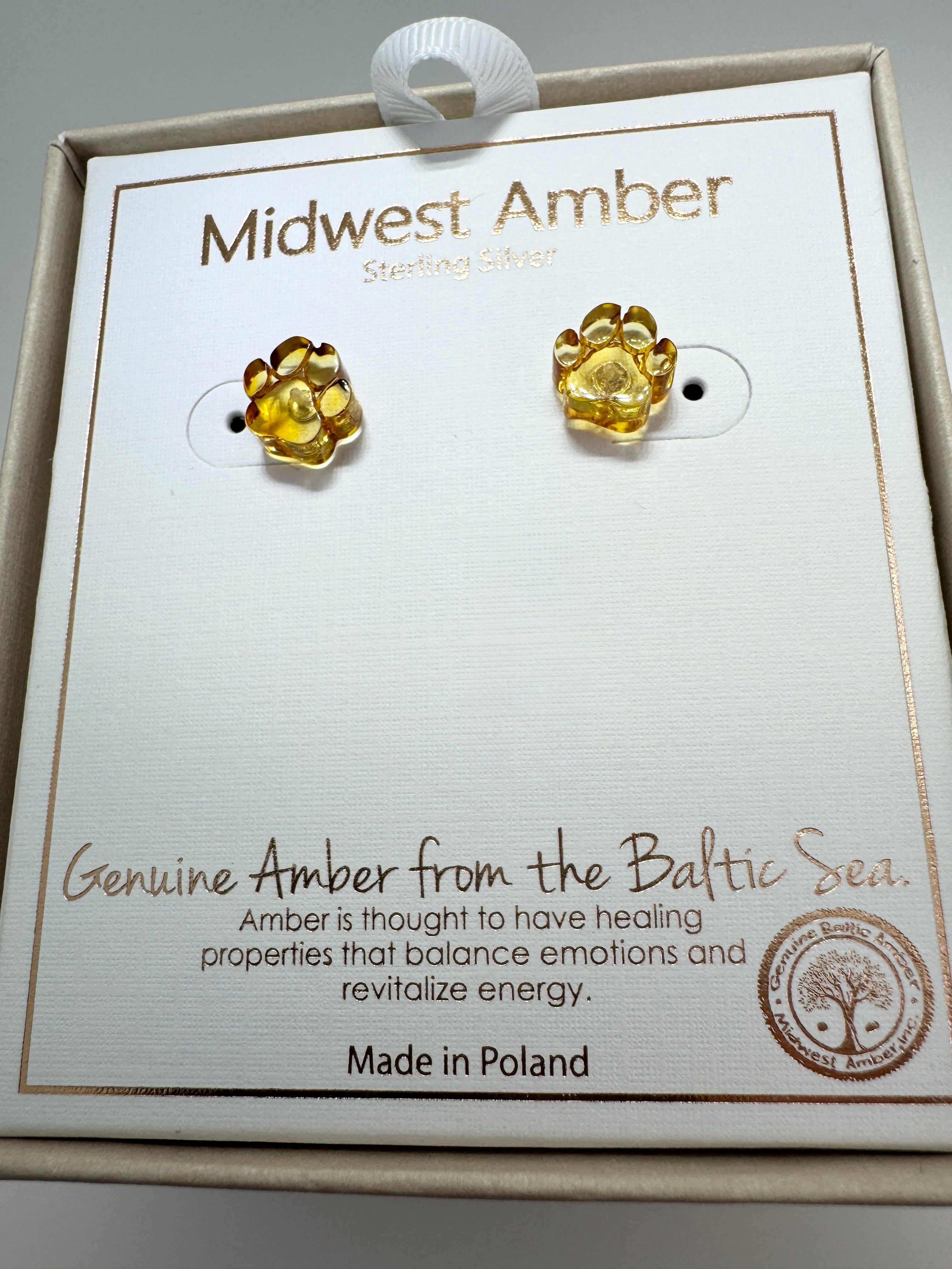 Sterling Silver & Genuine Baltic Amber Dog Paw Post - Stud Earrings