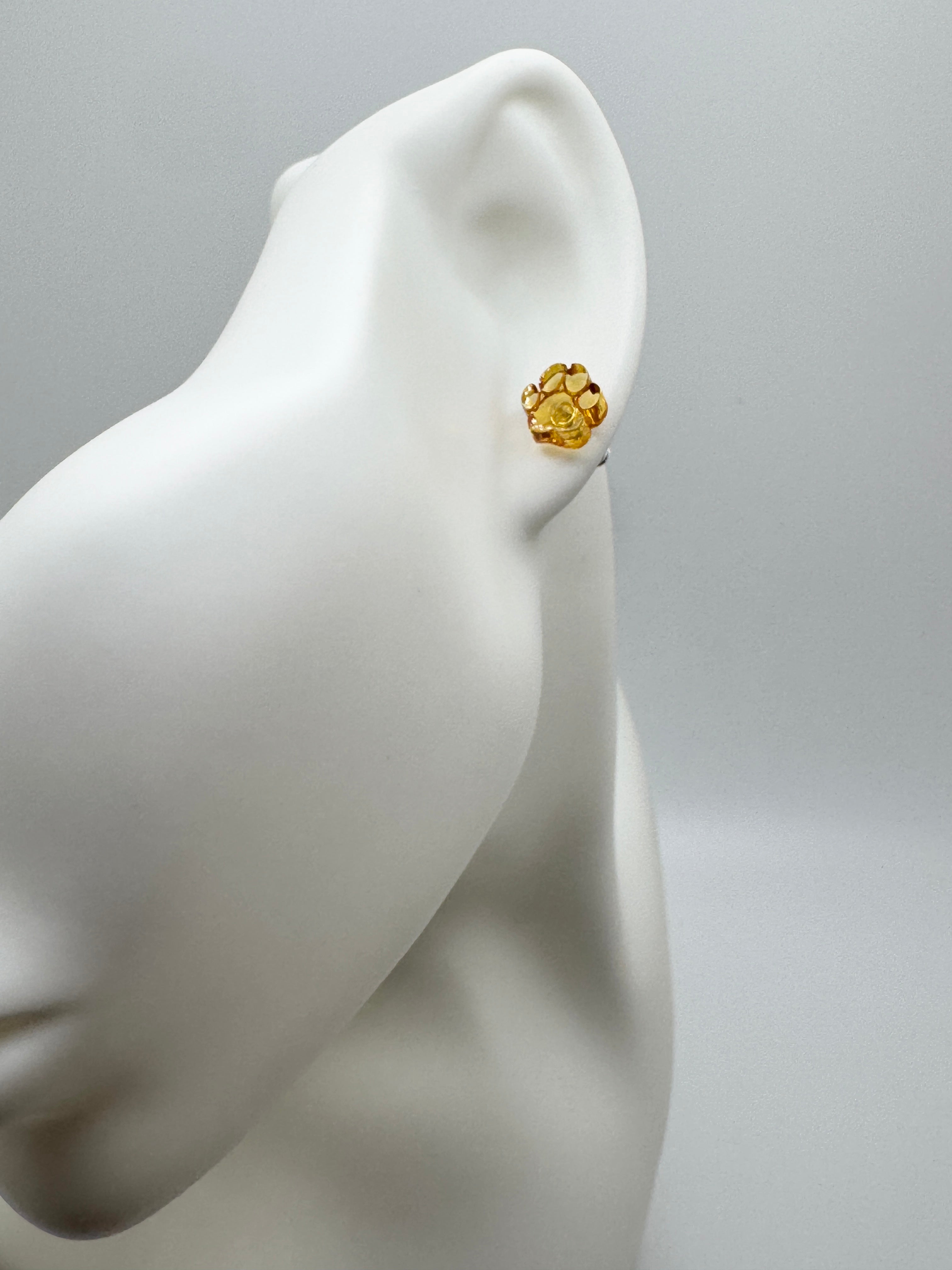 Sterling Silver & Genuine Baltic Amber Dog Paw Post - Stud Earrings
