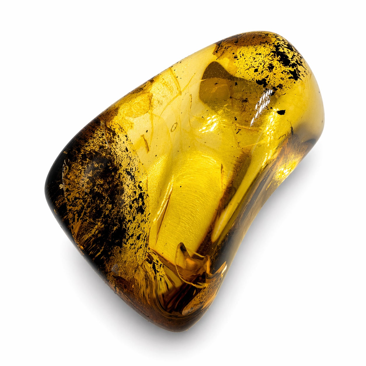 Genuine Baltic Amber Collector Chunks – Museum Quality Fossil Amber with Inclusions – One of a Kind Specimens – Natural Raw Amber Pieces
