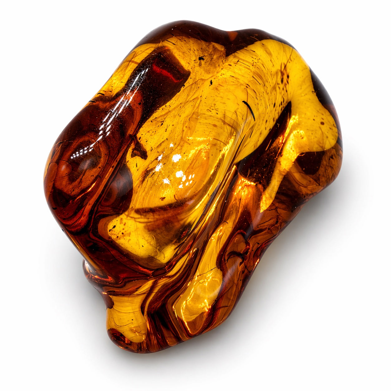 Genuine Baltic Amber Collector Chunks – Museum Quality Fossil Amber with Inclusions – One of a Kind Specimens – Natural Raw Amber Pieces