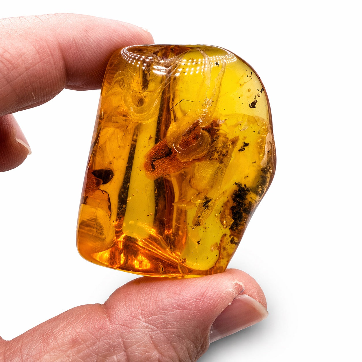 Genuine Baltic Amber Collector Chunks – Museum Quality Fossil Amber with Inclusions – One of a Kind Specimens – Natural Raw Amber Pieces