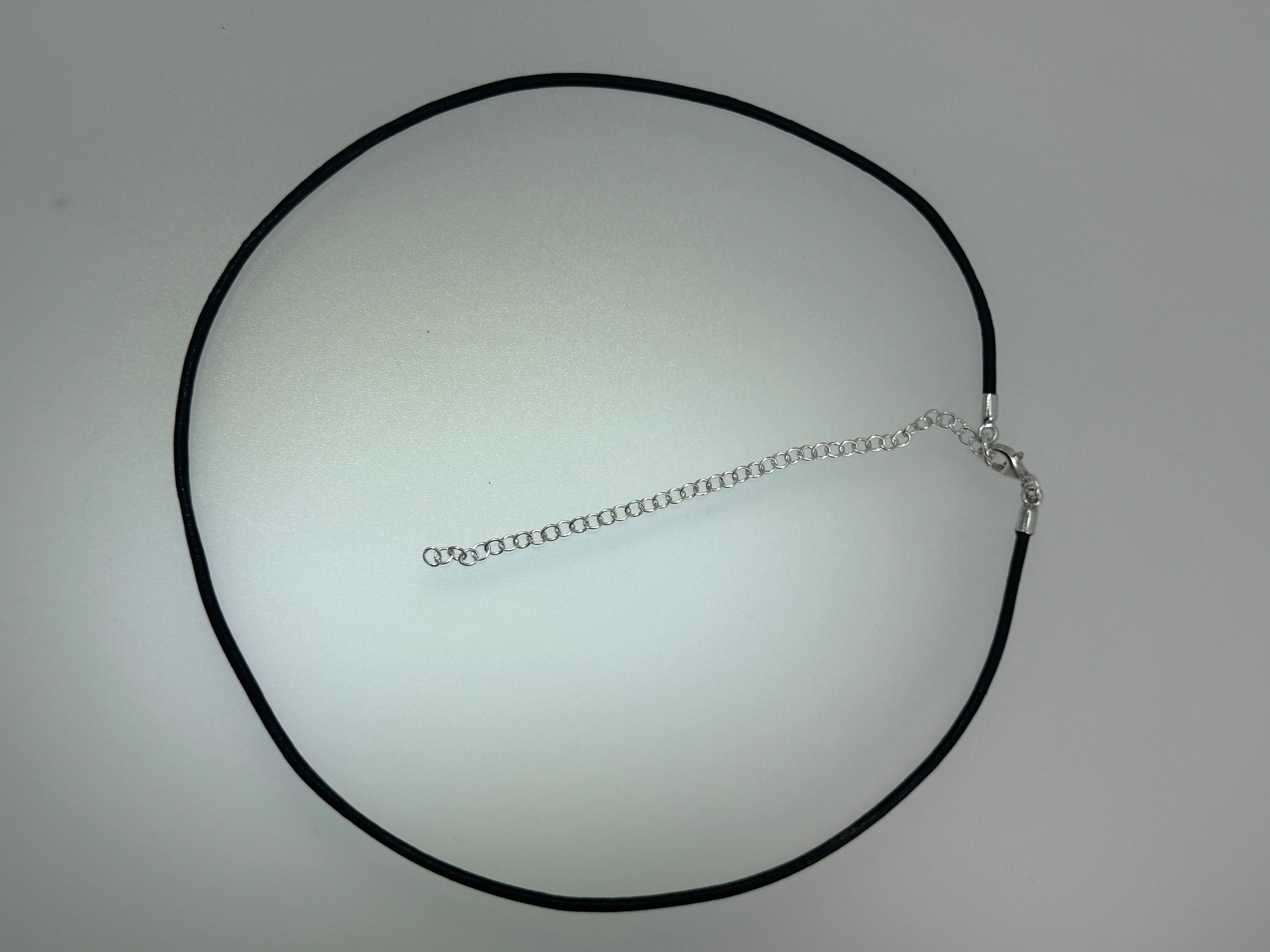 Sterling Silver Tyrannosaurus Rex Pendant with Baltic Amber – Fierce & Fossil-Inspired - Shipped with Silver Chain