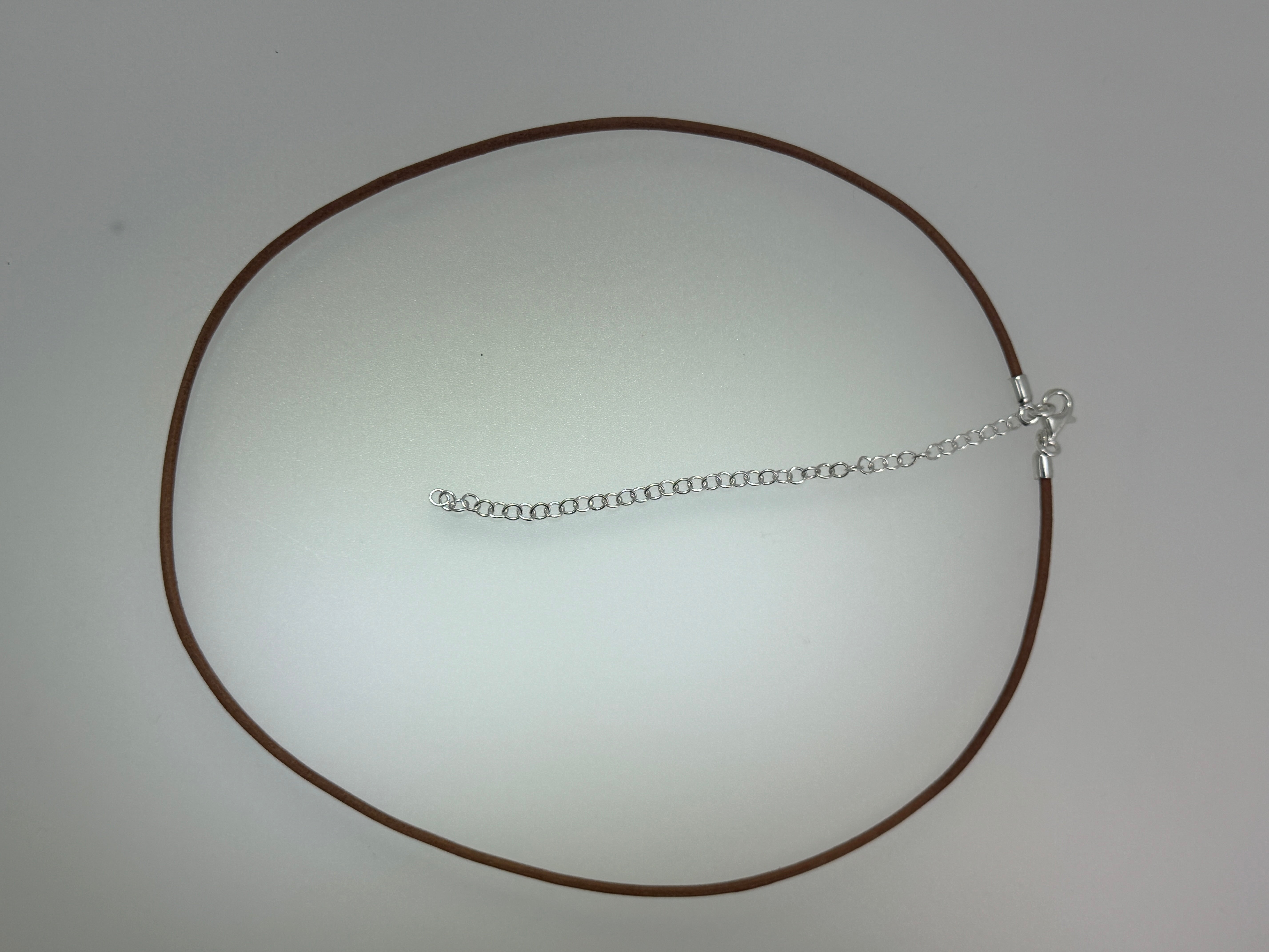 Sterling Silver Tyrannosaurus Rex Pendant with Baltic Amber – Fierce & Fossil-Inspired - Shipped with Silver Chain