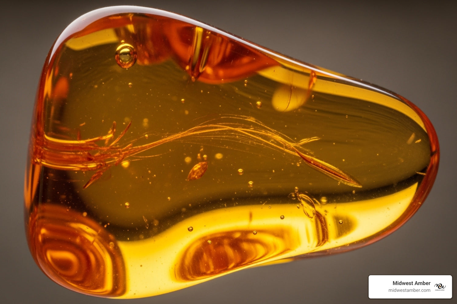 Don't Get Fooled: The Definitive Guide to Certified Baltic Amber