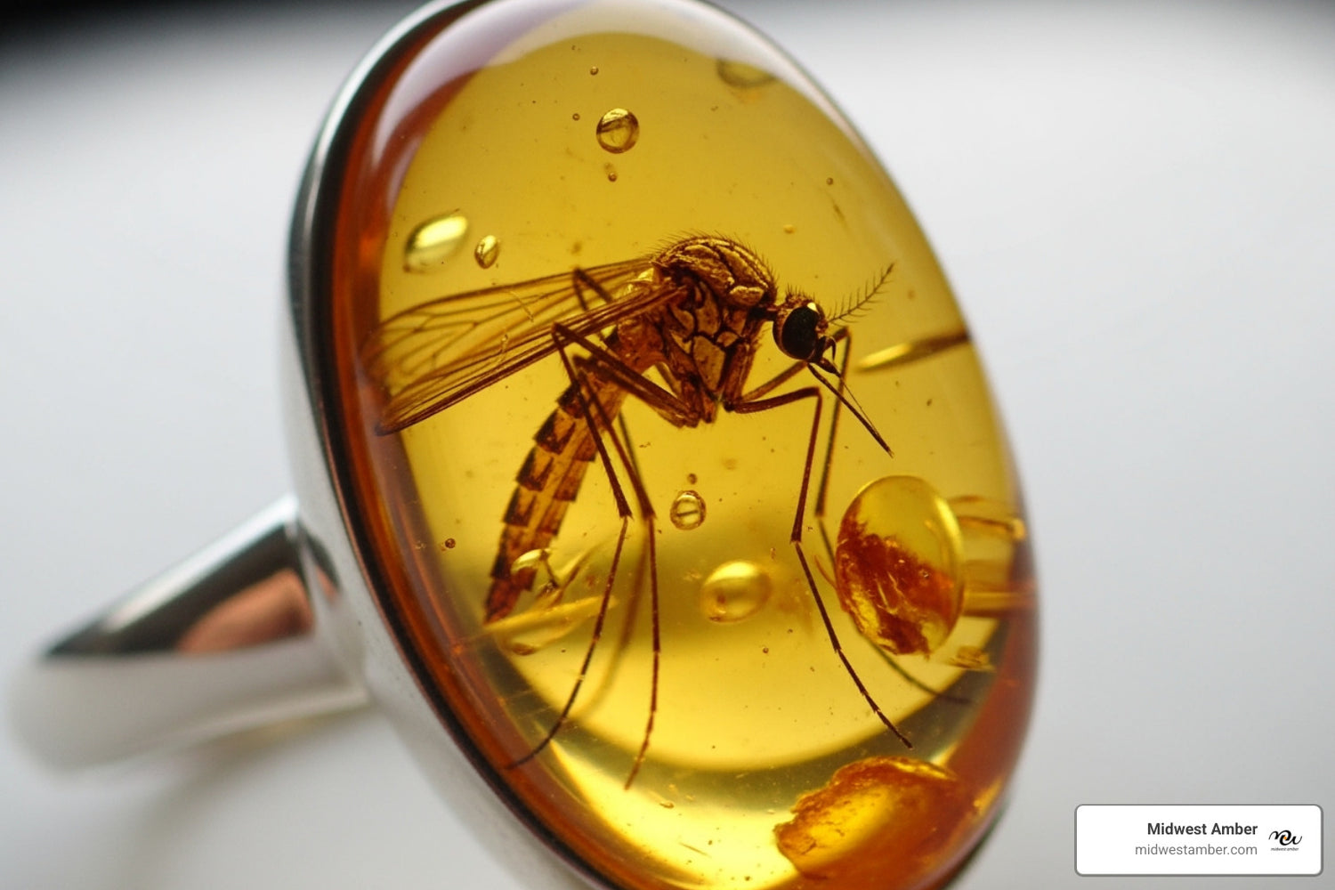 Ring in the Past: Discovering the Best Amber Mosquito Rings