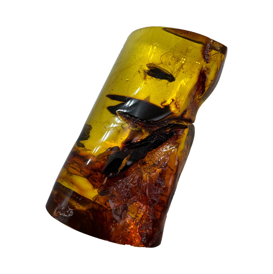 INCLUSIONS / GIFTS