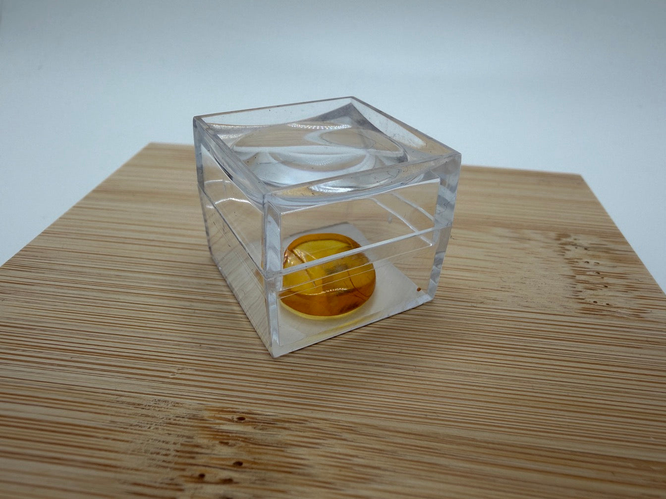 Amber Fossil Insect Inclusion | Baltic Amber Specimen | Collector Display Box with Magnifier | Rare Gift | Museum Quality