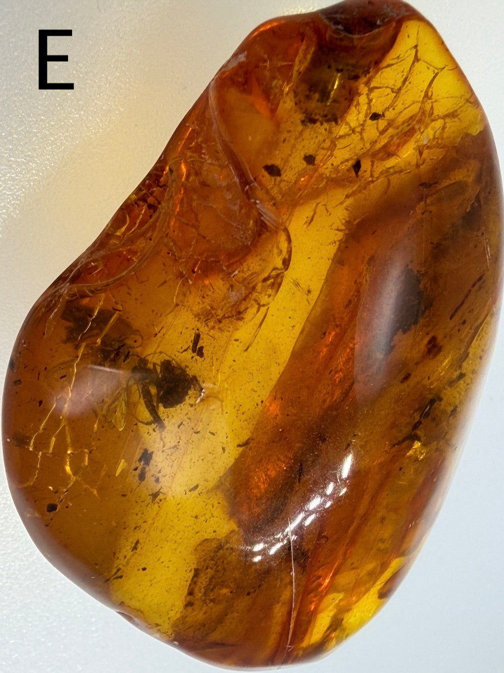 Baltic Amber Fossil Collection with Insects – Rare Mosquito & Fly Inclusions – Natural Amber Stones – One of a Kind Specimens