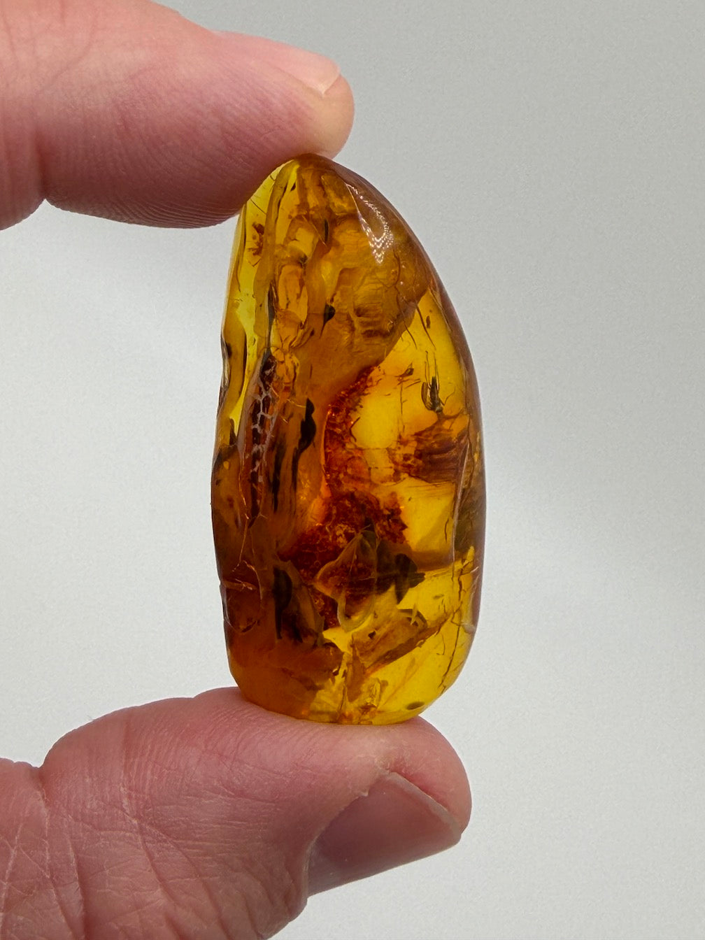 Baltic Amber Fossil Collection with Insects – Rare Mosquito & Fly Inclusions – Natural Amber Stones – One of a Kind Specimens