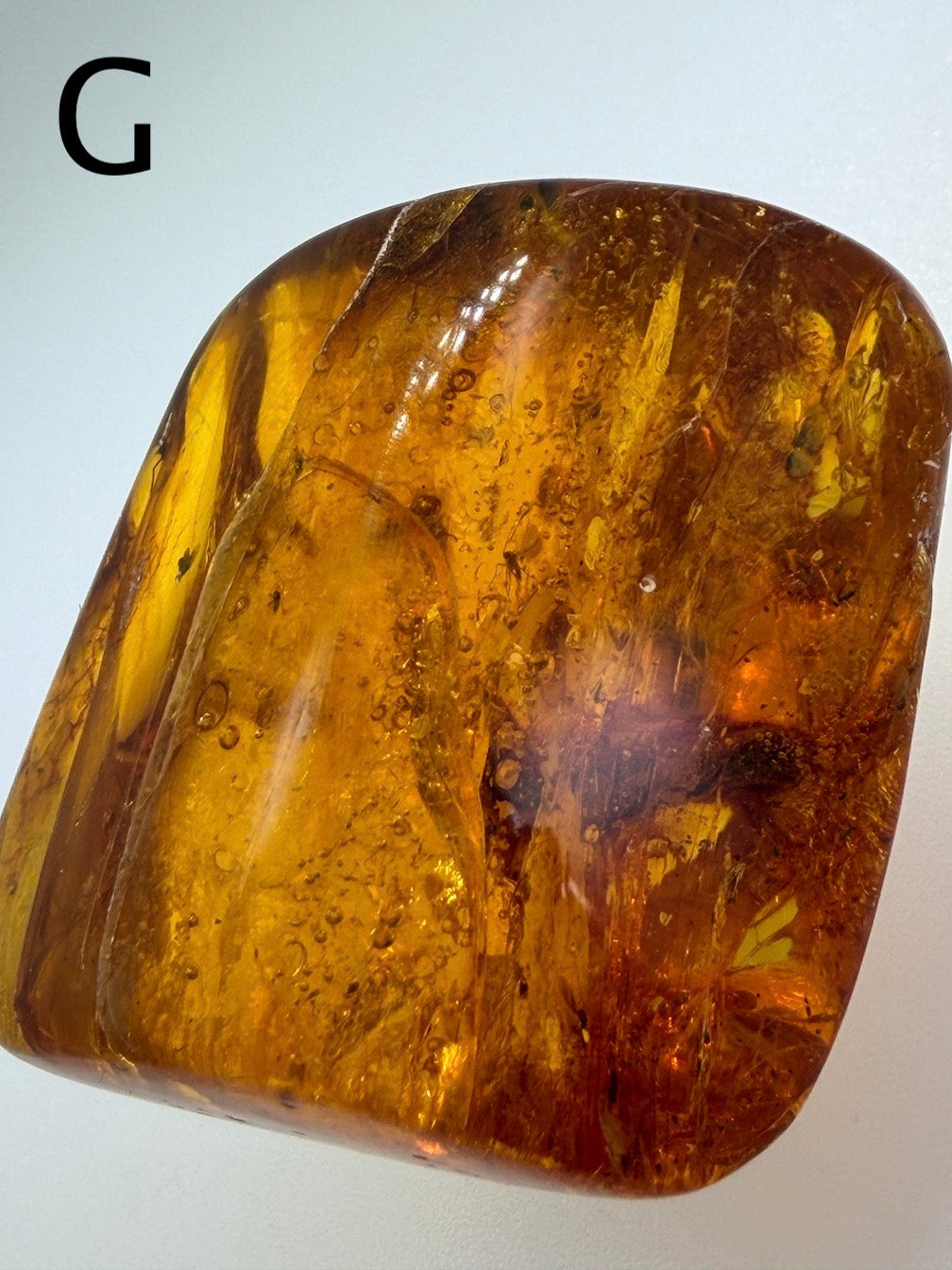 Baltic Amber Fossil Collection with Insects – Rare Mosquito & Fly Inclusions – Natural Amber Stones – One of a Kind Specimens